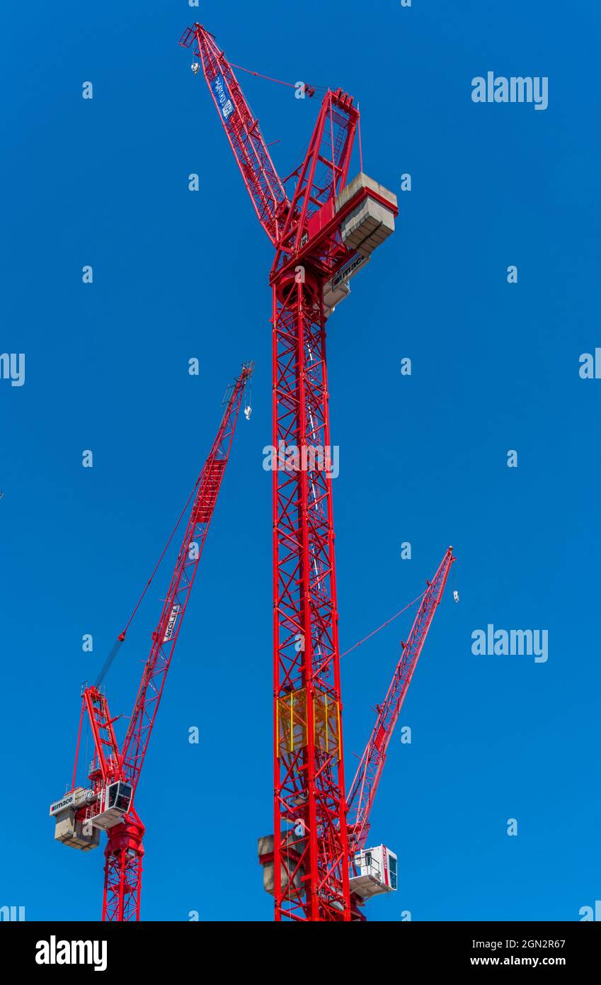 Vista delle gru rosse contro il cielo blu, Città di Londra, Londra, Inghilterra, Regno Unito, Europa Foto Stock