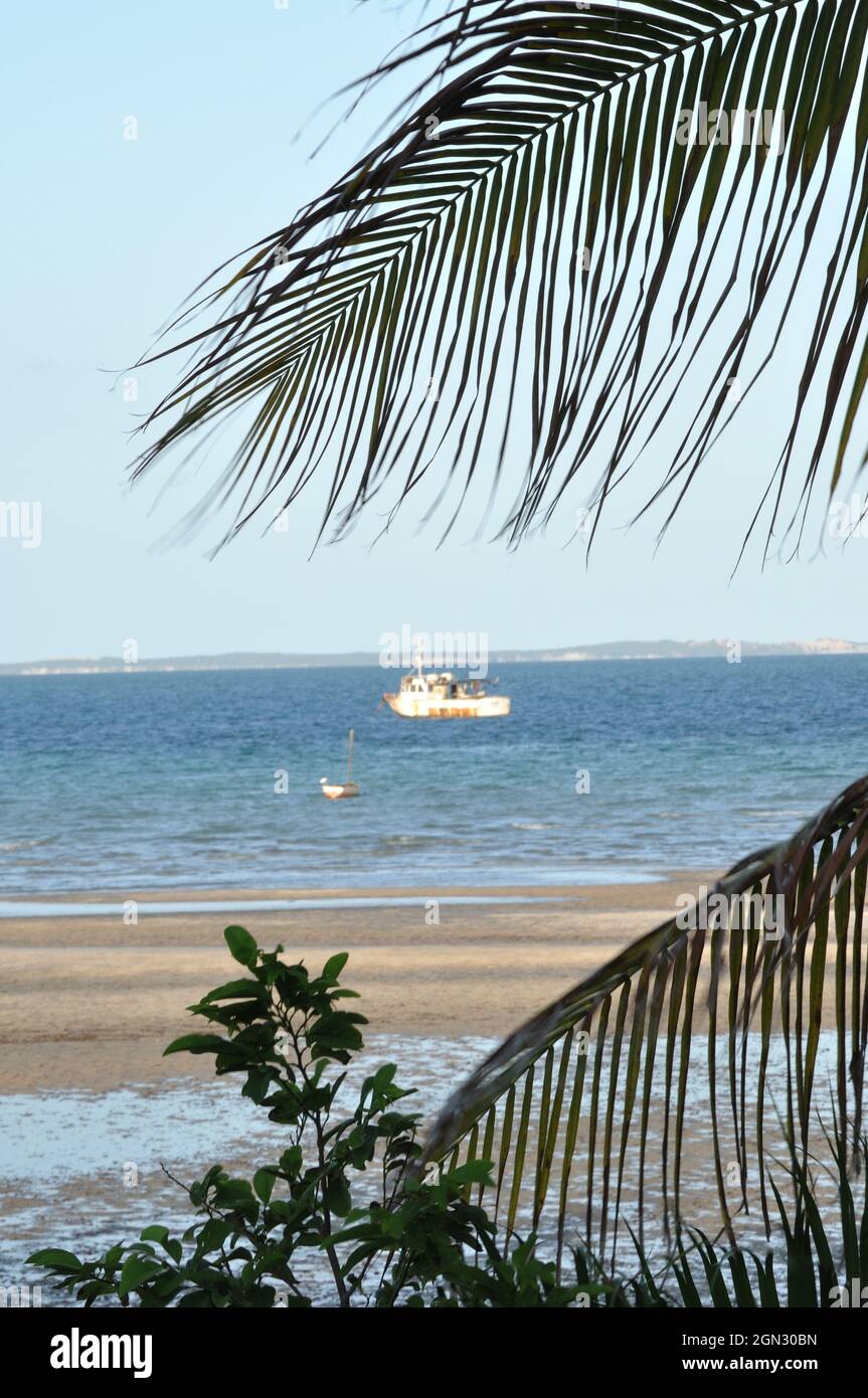 Costa di Inhambane, Vilanculos, Mozambico Foto Stock