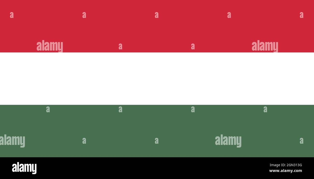 Bandiera nazionale dell'Ungheria dimensioni originali e colori illustrazione vettoriale, Magyarorszag zaszlaja è bandiera ufficiale dell'Ungheria, bandiera ungherese Illustrazione Vettoriale