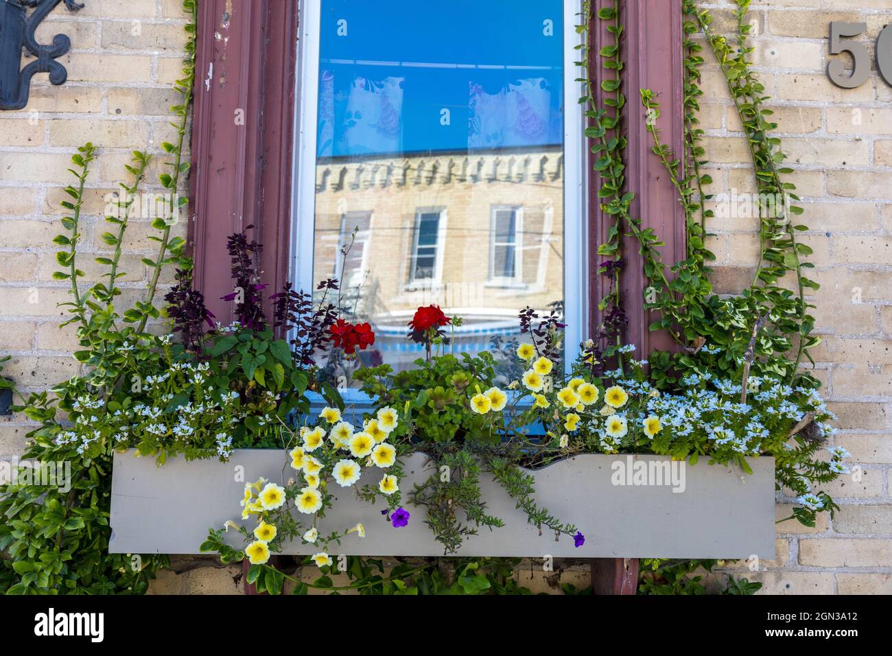 Riflessione in Una finestra con una finestra Box con fiori e un Ontario Canada Heritage Building riflesso nel vetro Foto Stock