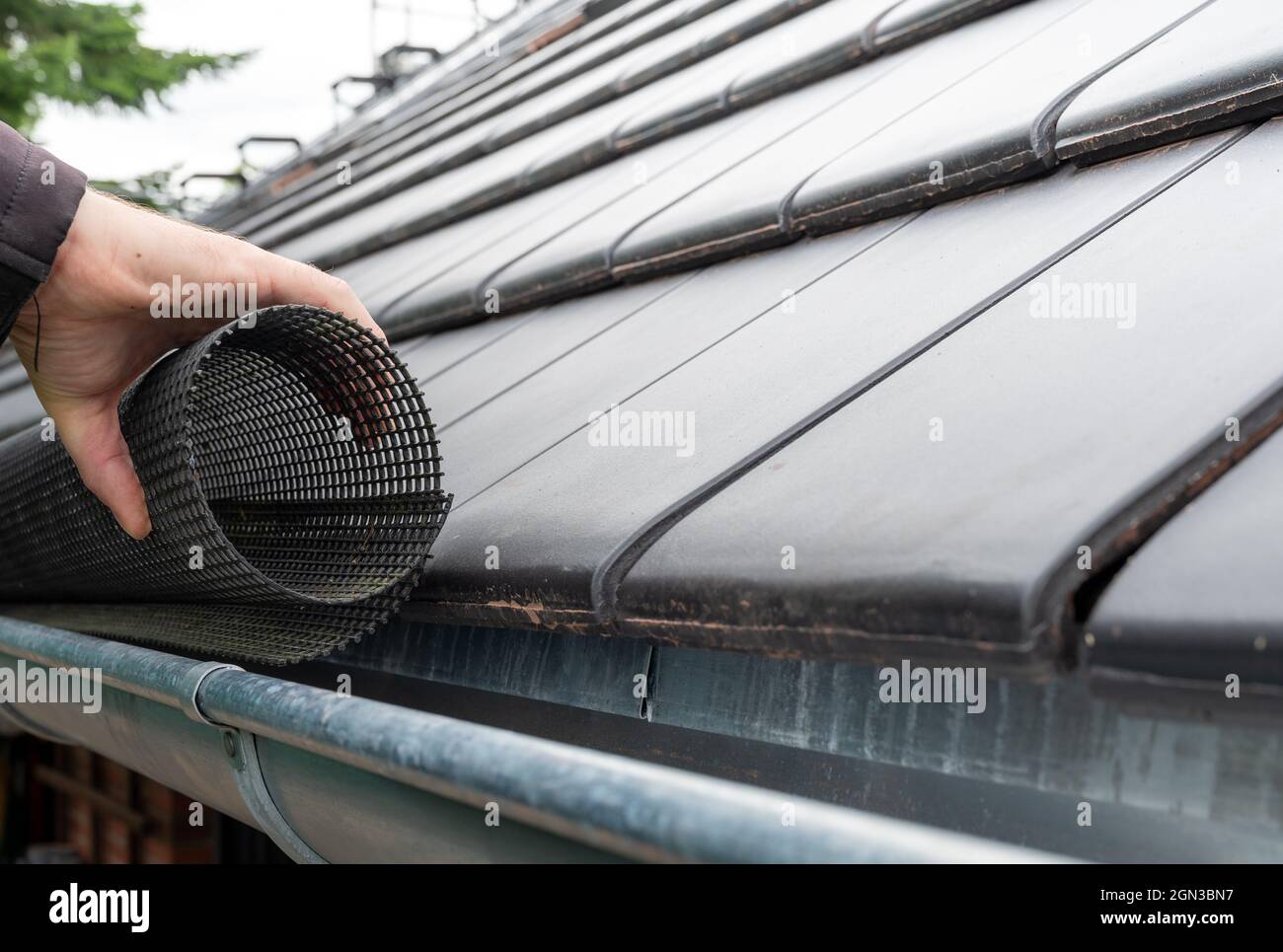 L'uomo mette una rete di grondaia al grondaia per proteggere il grondaia dalle foglie. Foto Stock