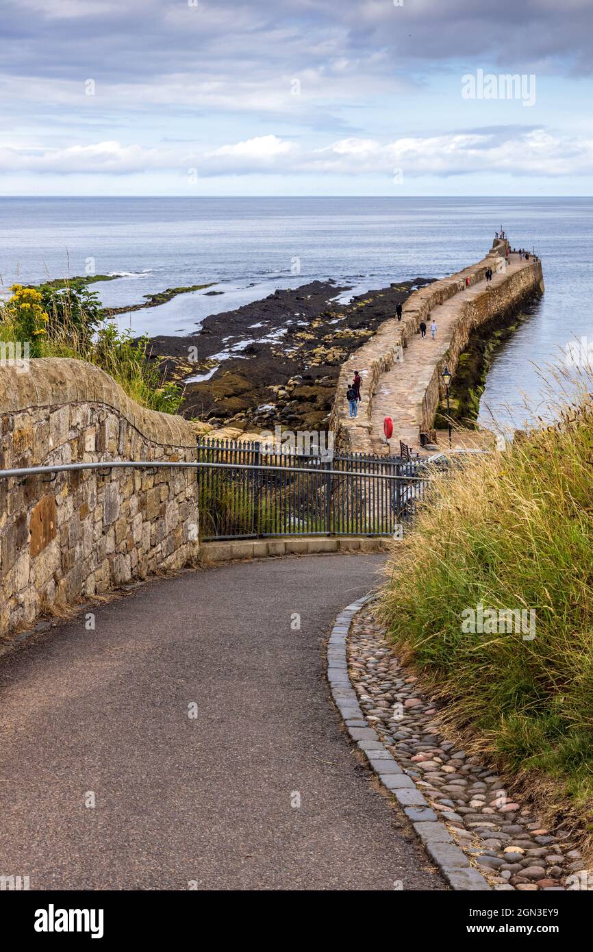Sentiero che conduce al pittoresco porto di St Andrews a Fife, sulla costa orientale della Scozia. Foto Stock