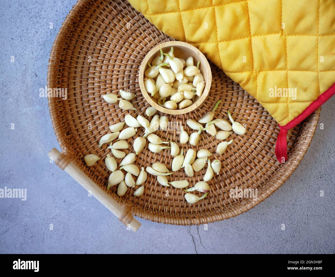 primo piano garlics crescente nella tazza di legno e guanto di cucina di colore giallo in canestro di rattan tessitura su pavimento di cemento Foto Stock