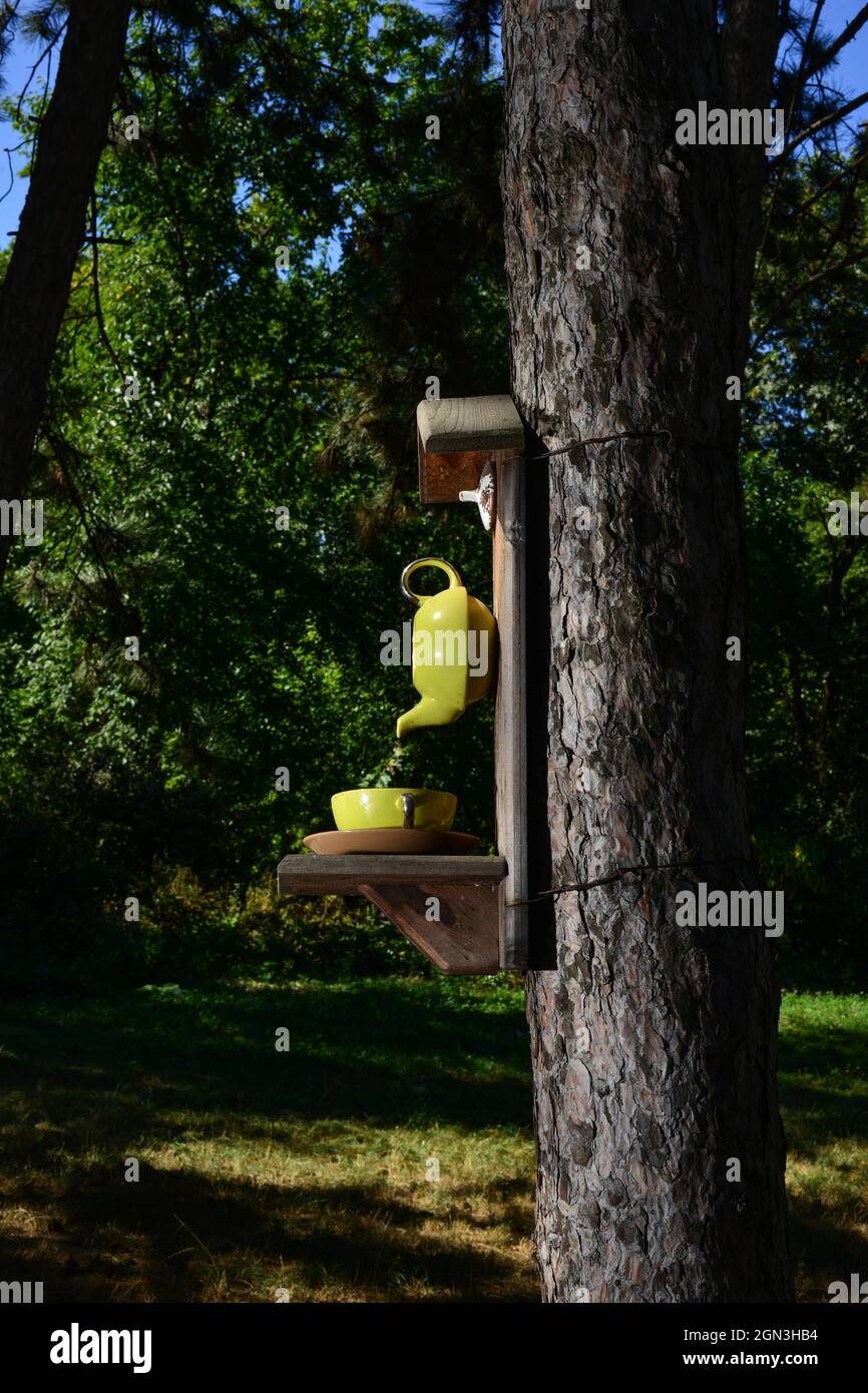 Un alimentatore di uccelli sotto forma di una teiera e una tazza. L'alimentatore è installato su un albero nel parco. Cura degli uccelli selvatici, casa e cibo. Nido d'uccello in primavera. Foto Stock