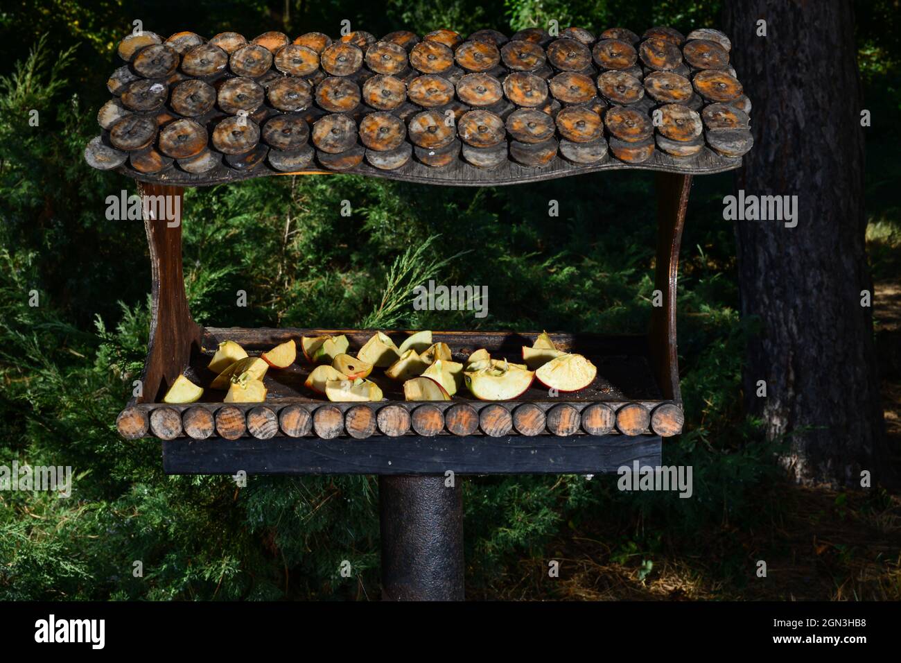 Birdhouse marrone di legno, mangiando trogolo installato nel parco. Cura degli uccelli selvatici, casa e cibo. Nido d'uccello in primavera. Foto Stock