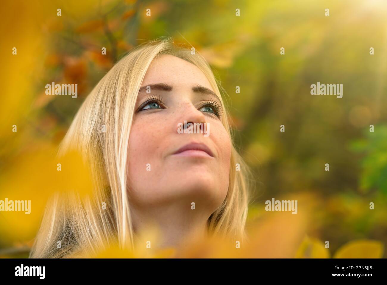 Ritratto di una bella giovane donna in natura, incorniciata da foglie d'autunno d'oro defocused, che guardano ai raggi di luce solare calda e soffusa Foto Stock