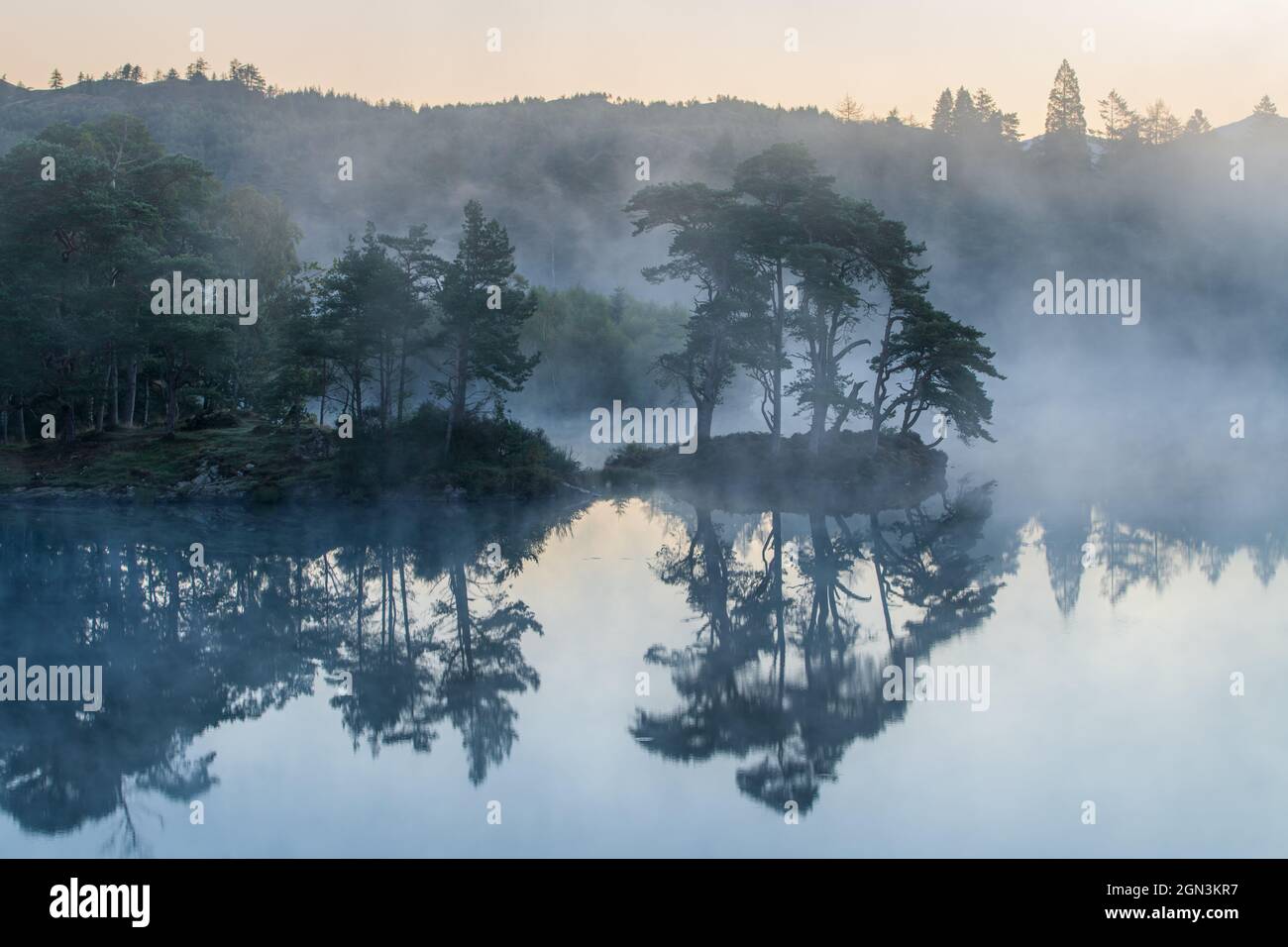 Riflessi pre-alba di alberi a Tarn Hows vicino Ambleside in una mattinata di settembre nebbiosa Foto Stock