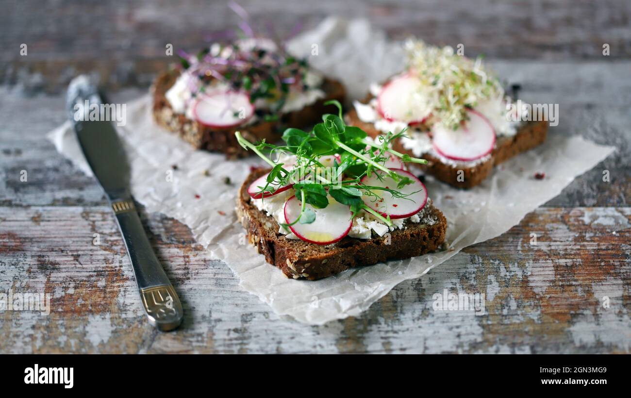 Toast sani con ravanello di formaggio bianco e microgreens. Dieta Keto. Il cheto tosta. Cibo biologico. Cibo eccellente. Foto Stock