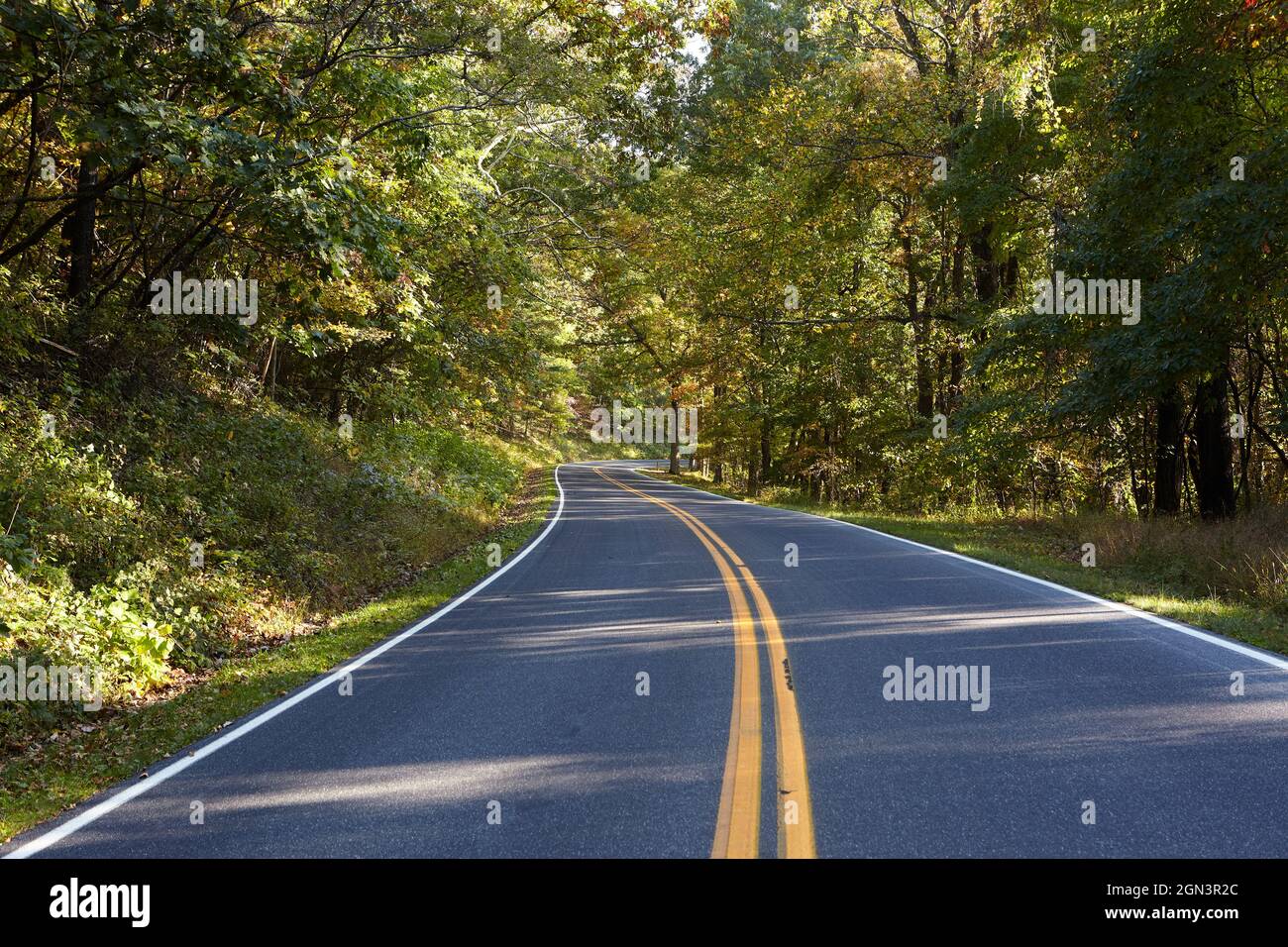Quiet Skyline Drive attraverso il Parco Nazionale di Shenandoah in Virginia USA all'inizio dell'autunno Foto Stock