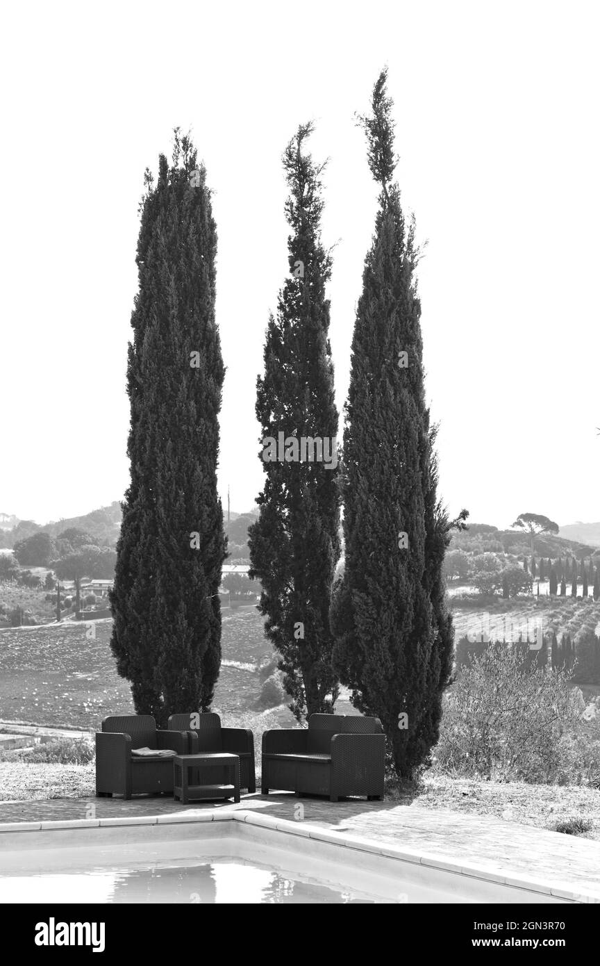 Divani all'aperto sotto cipressi in piscina (Umbria, Italia, Europa) Foto Stock