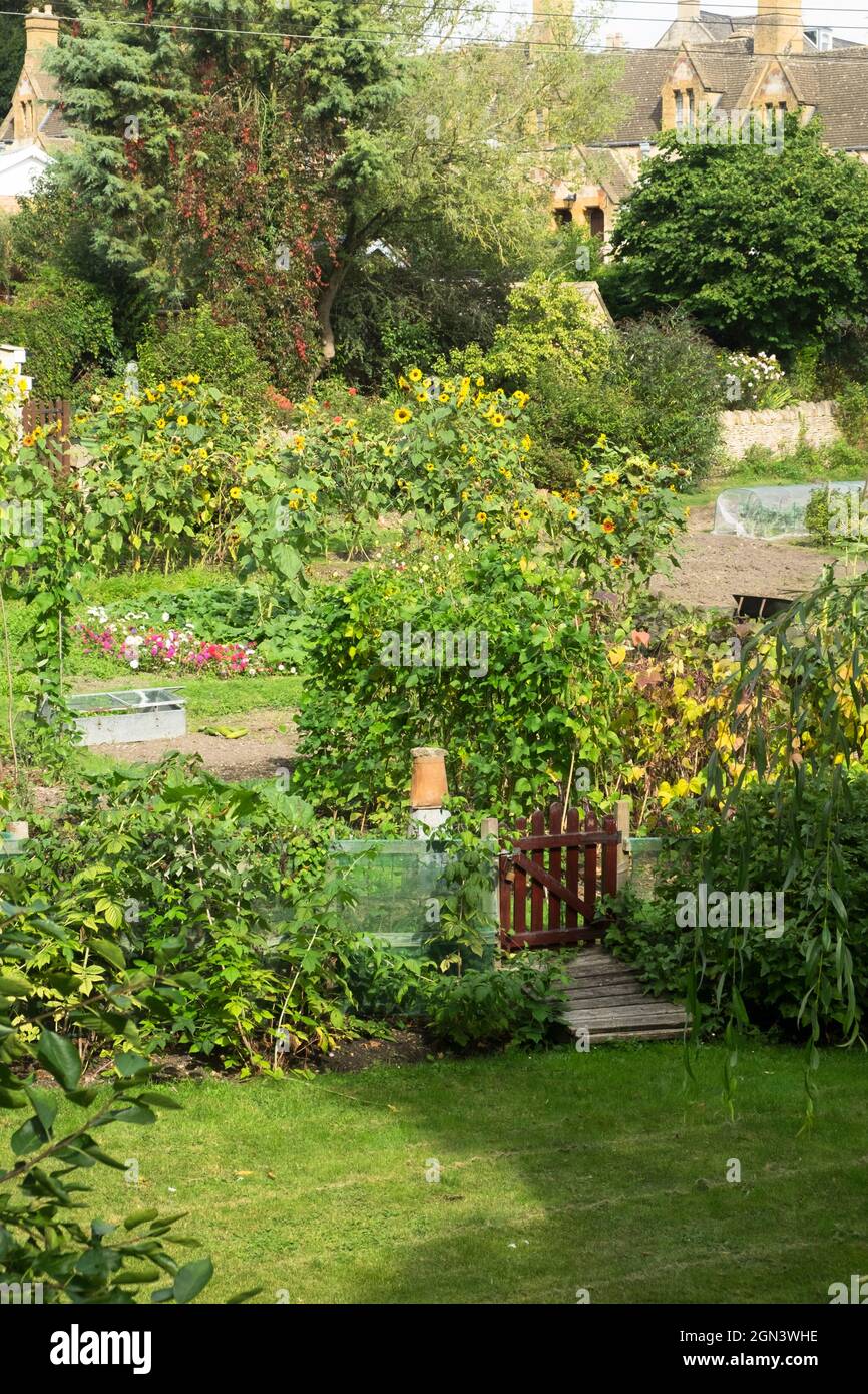 Vista di Winchcomber una piccola città del mercato Cotswold in Gloucestershire, Regno Unito Un giardino cottage Foto Stock