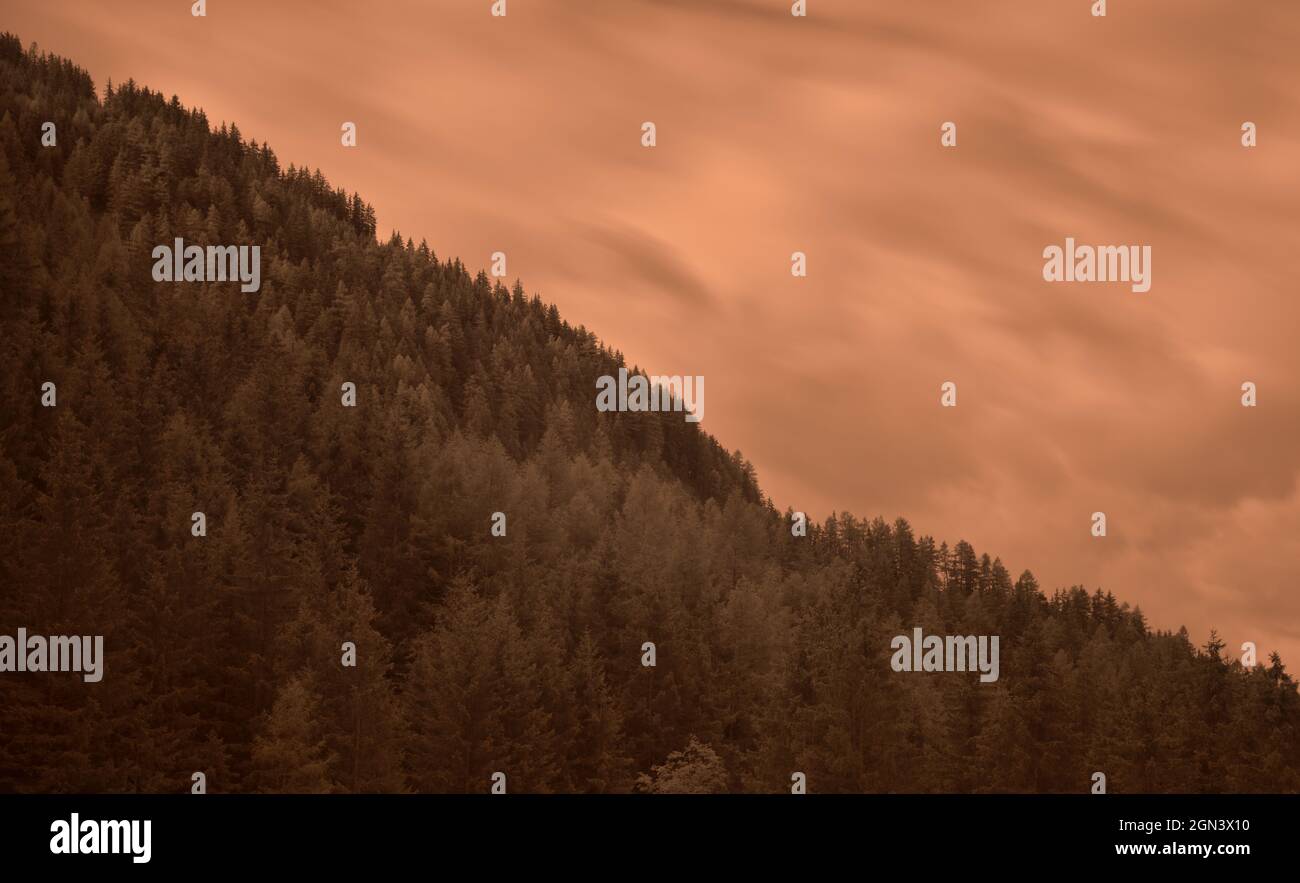 Grandi foreste dell'alta valle di Anterselva in una giornata nuvolosa. Foto a infrarossi Foto Stock