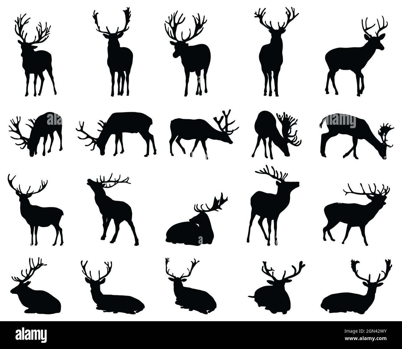Silhouette nere grafiche di cervi selvatici su sfondo bianco Foto Stock