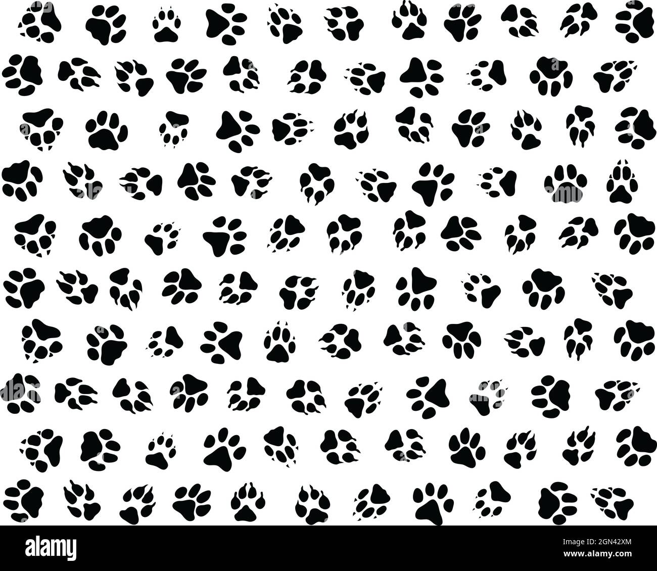 Stampa senza cuciture di zampe di cani su sfondo bianco Foto Stock