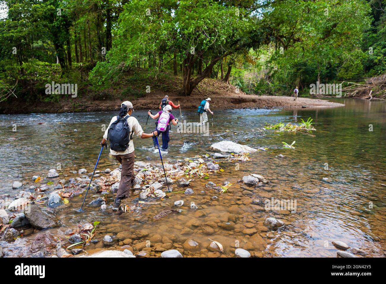 Un gruppo di escursionisti attraversa un fiume lungo il vecchio sentiero Camino Real, il parco nazionale di Chagres, Repubblica di Panama, America Centrale. Foto Stock