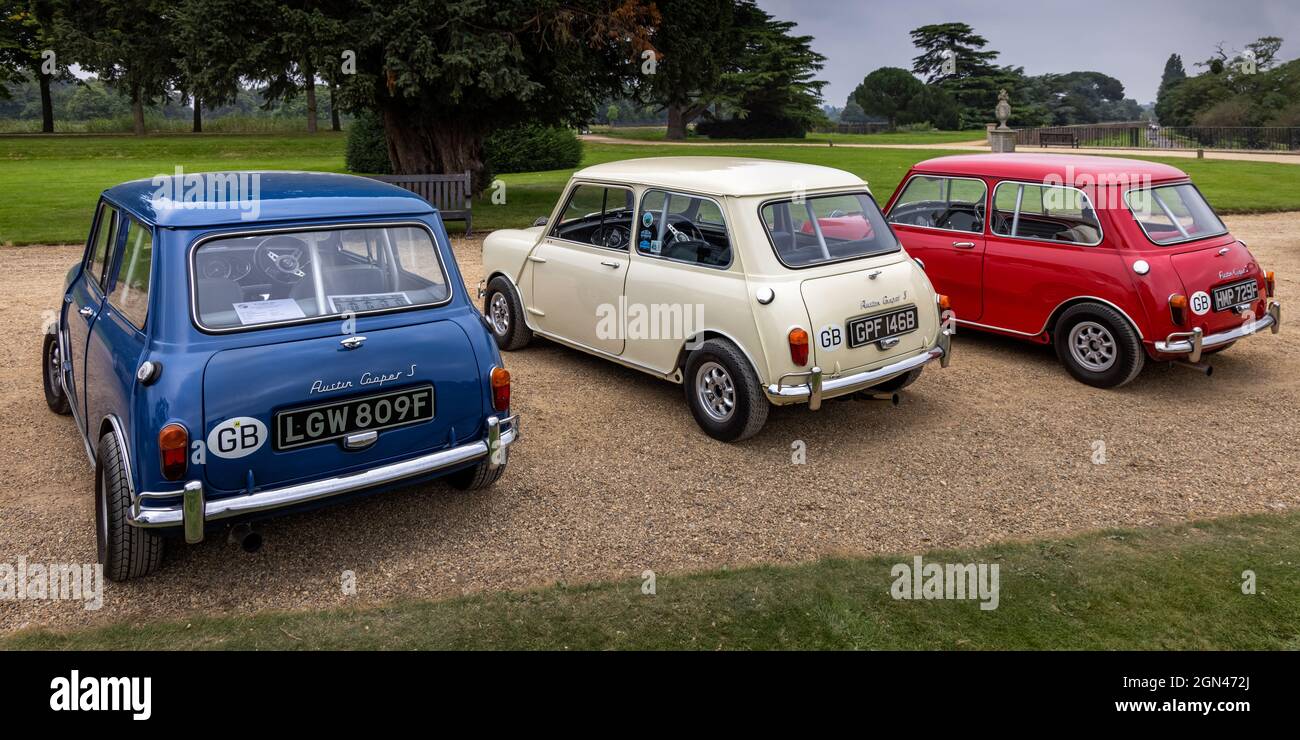 Classic Austin Mini Cooper S's, Italian Job Replicas, Concours of Elegance 2021, Hampton Court Palace, Londra, Regno Unito Foto Stock