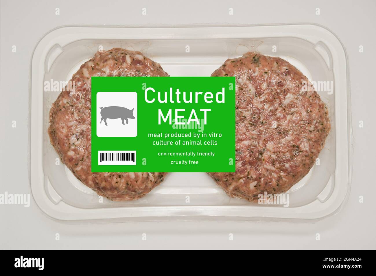 concetto di carne di maiale coltivata Foto Stock