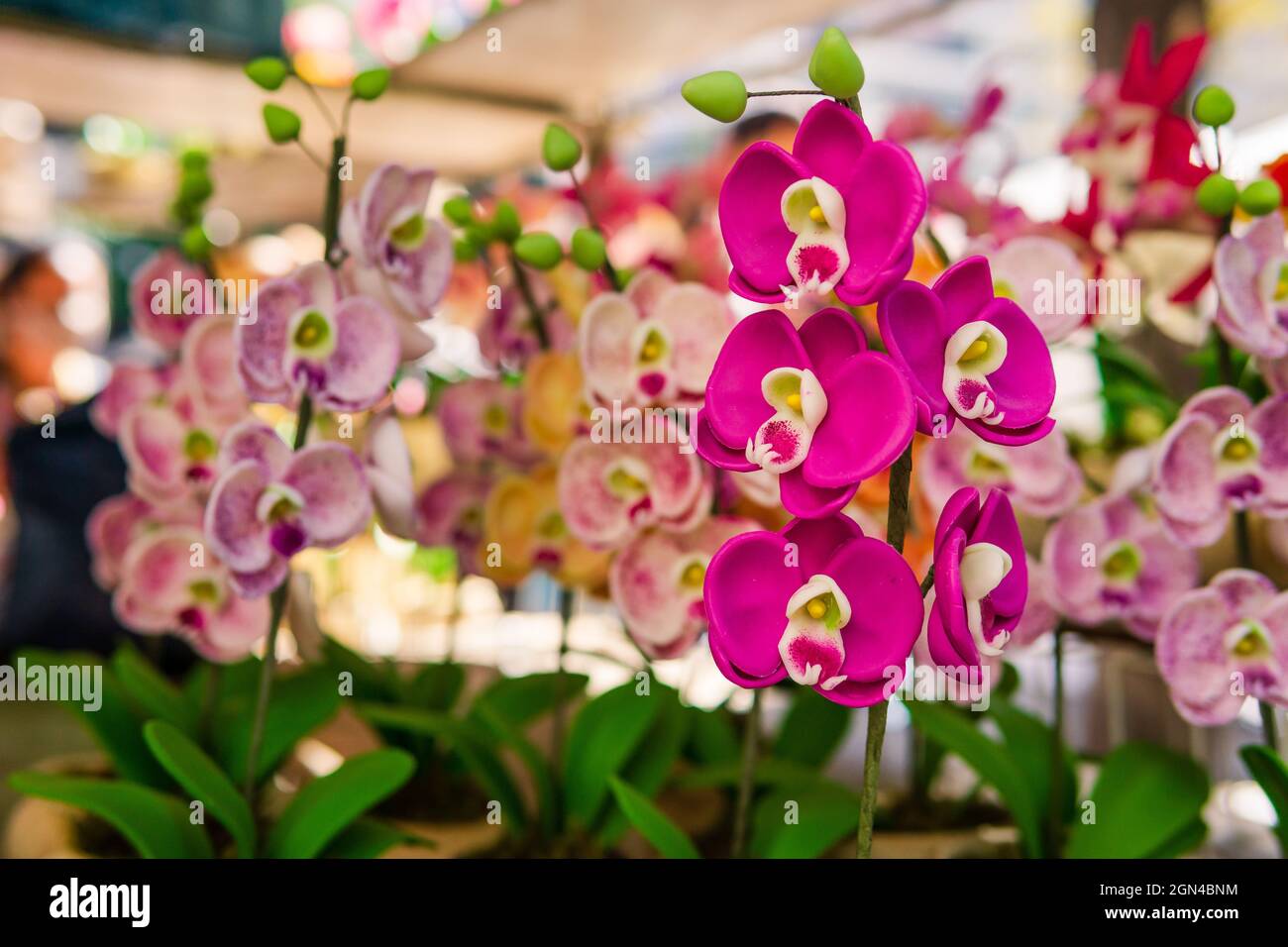 Orchidee artificiali in vendita alla fiera Belo Horizonte Hippie in Brasile  Foto stock - Alamy