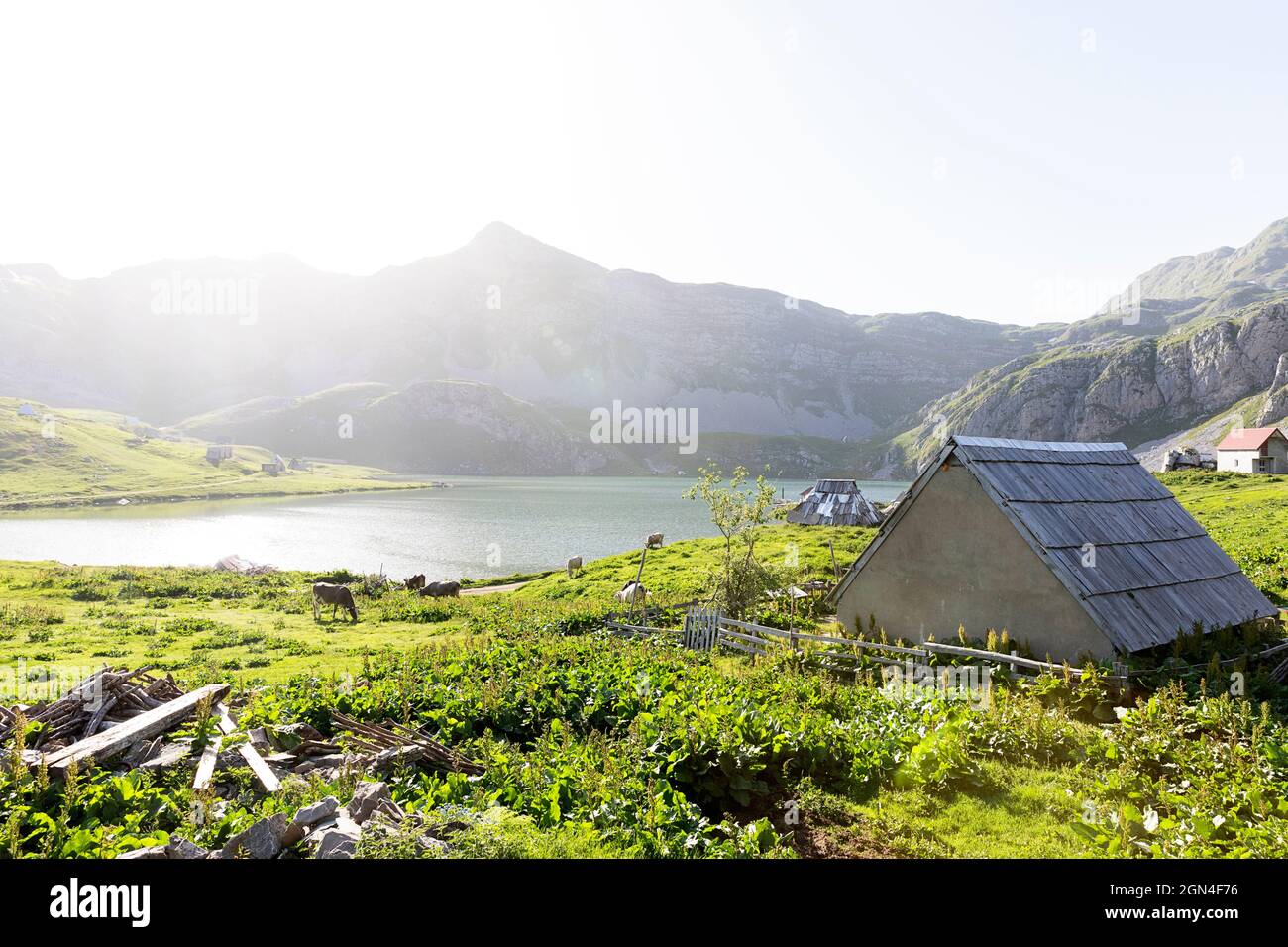 La tradizionale casa dei pastori sul lago Kapetanovo, il lago del capitano sulle montagne sopra la città niksic, montenegro Foto Stock