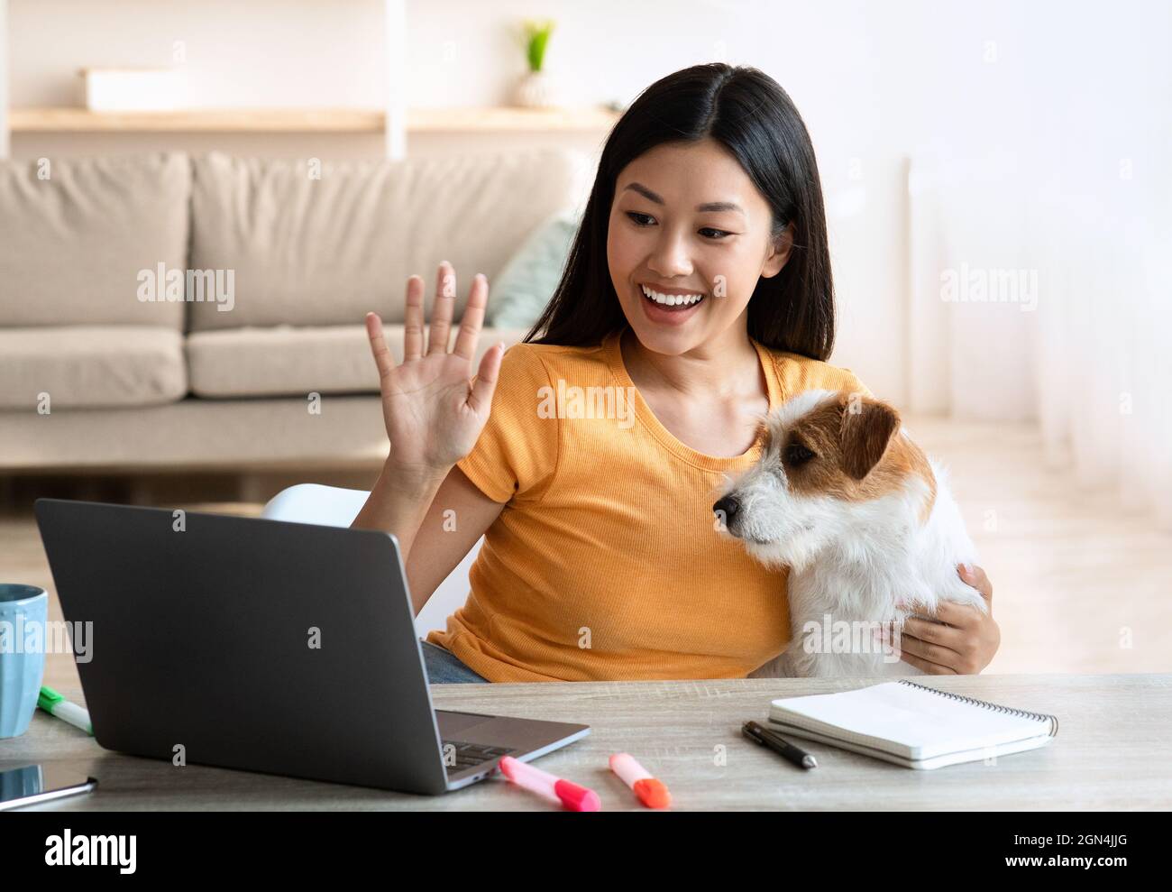 Donna asiatica graziosa con cane che ha video conferenza via laptop Foto Stock