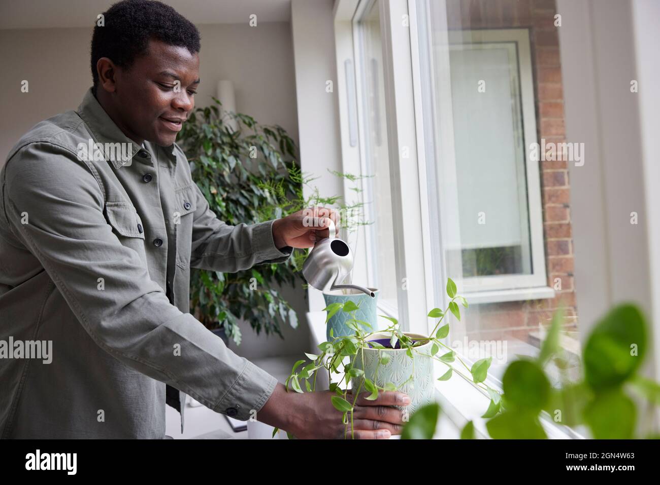 Giovane uomo a casa innaffiatura piante in ufficio Foto Stock