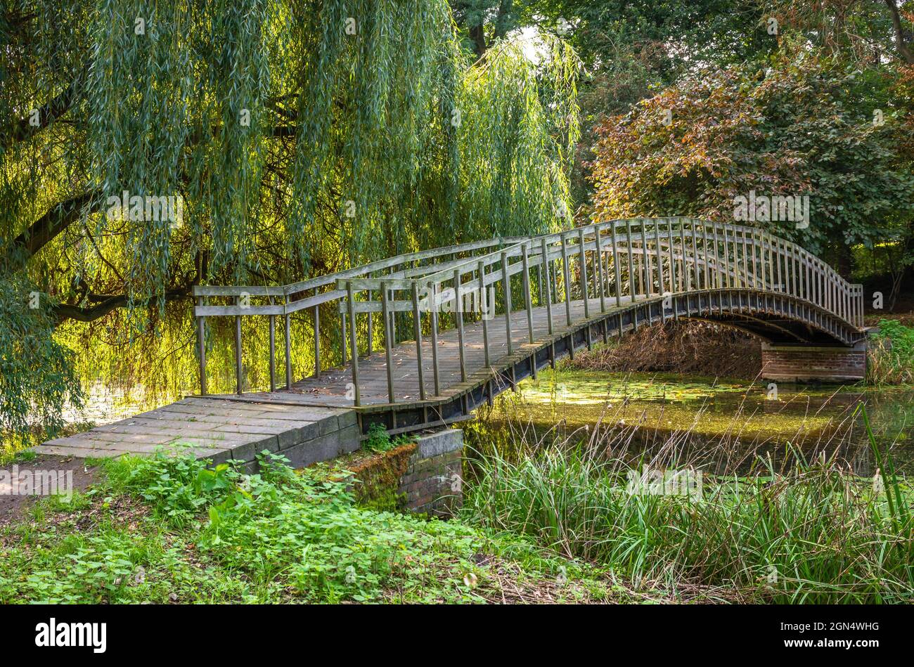 Un vecchio ponte ad arco in legno nel parco olandese nel sud dei Paesi Bassi Foto Stock
