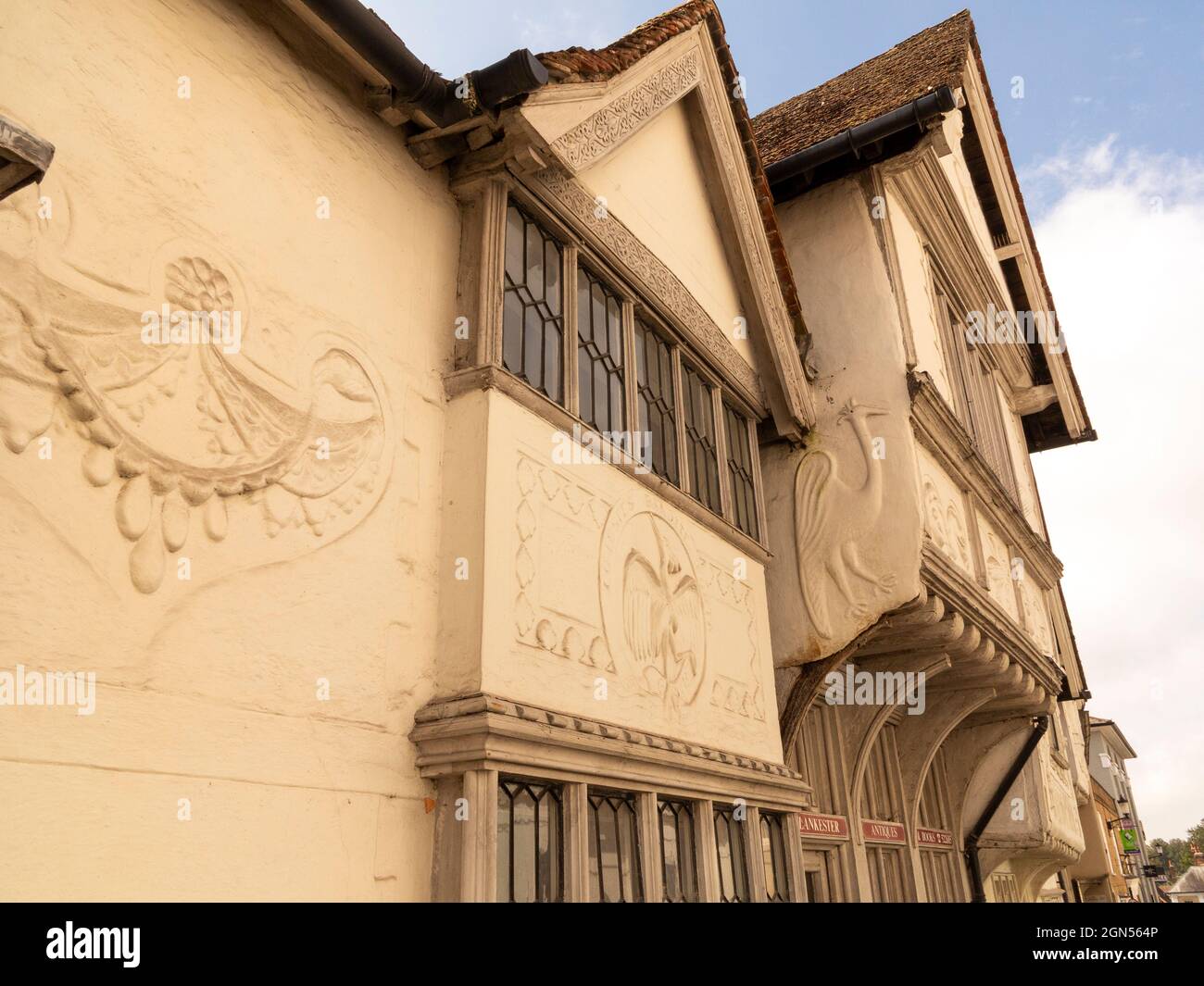 Zafferano Walden, Essex, Inghilterra, Regno Unito Foto Stock