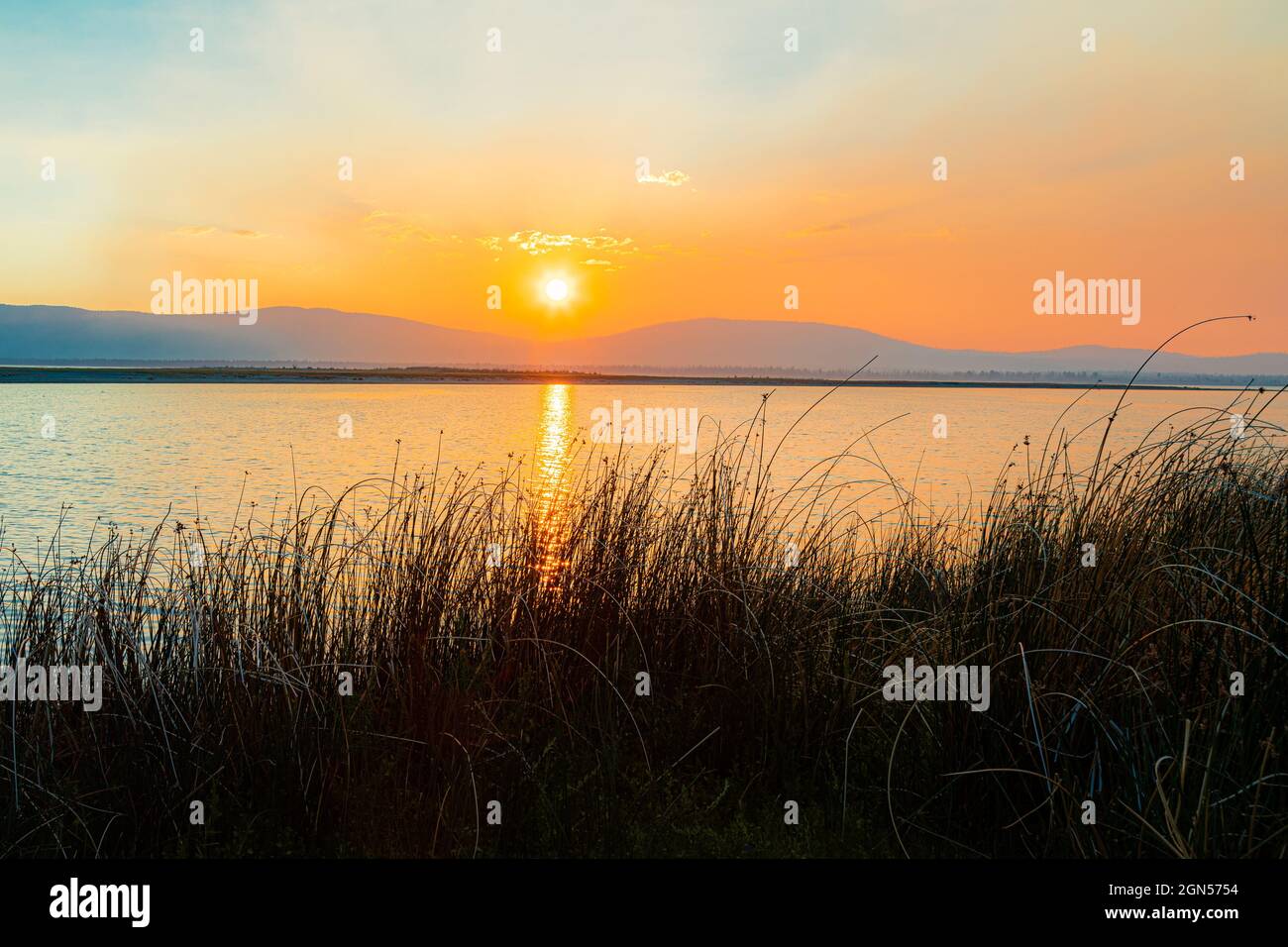 Tramonto d'oro sul Miner's Point a Eagle Lake nella contea di Lassen, California, USA. Foto Stock