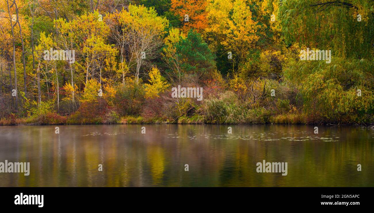 Panoramica autunnale del Michigan, Highland Recreation Area, Michigan Foto Stock