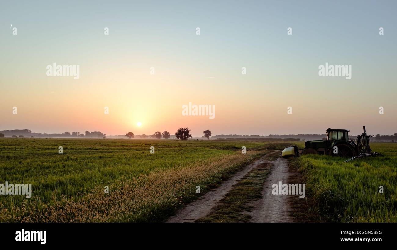 Trattore parcheggiato su un verde paesaggio di risaie con ghiaia rurale pista con un cielo che sale il sole Foto Stock