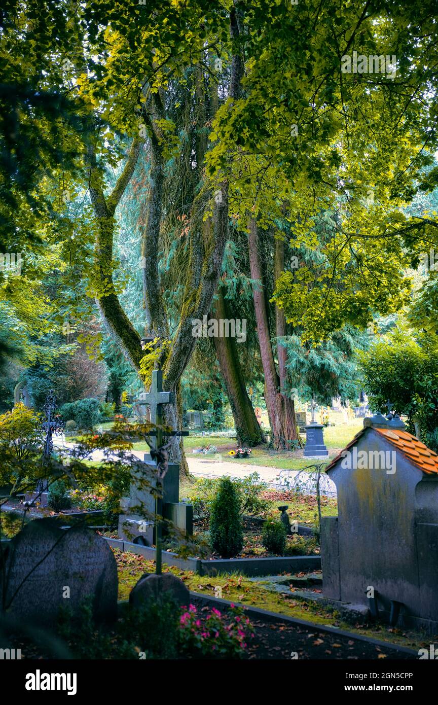 Vecchio cimitero Friedhof Ravensburg e Friburgo Germania Foto Stock