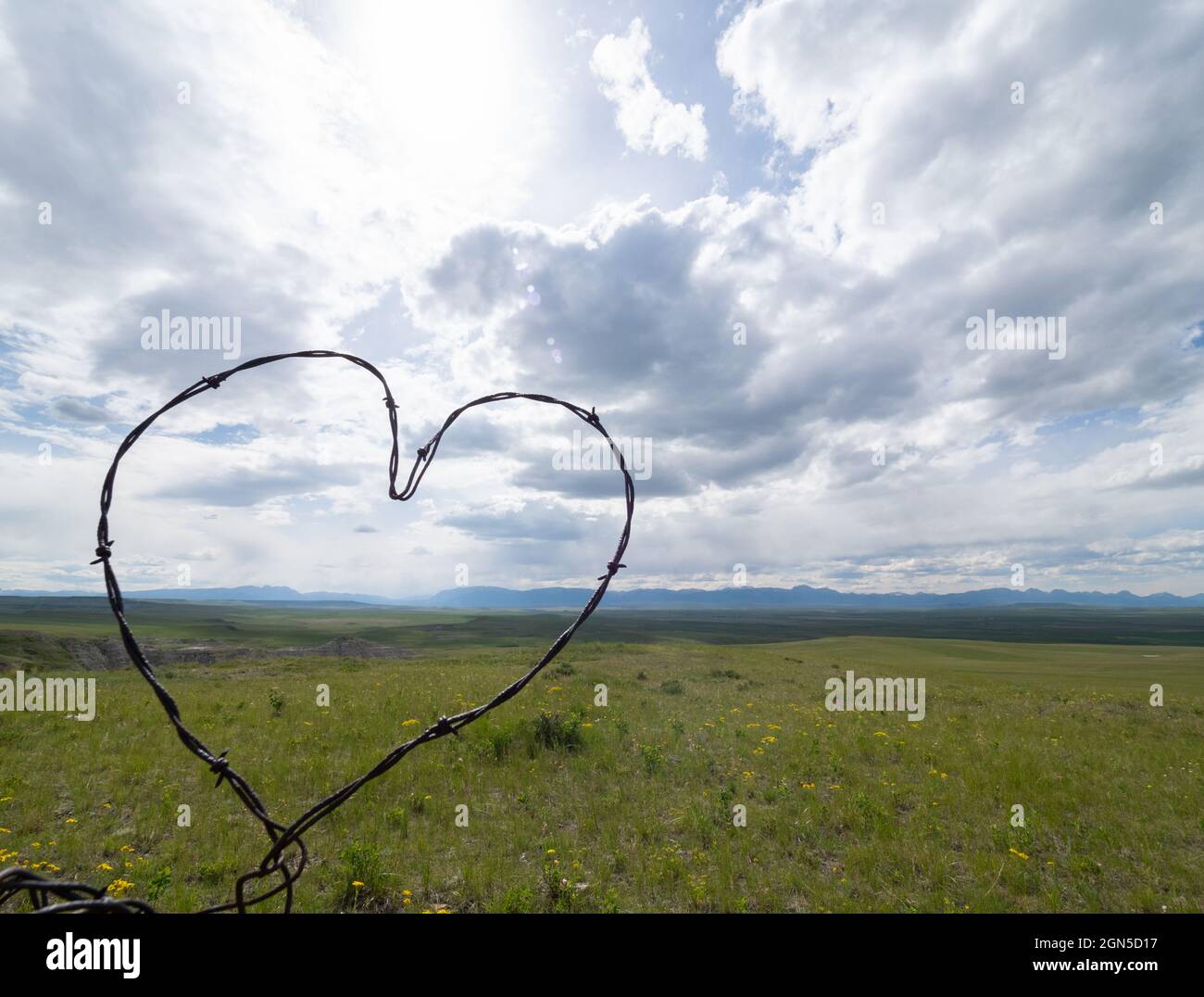 Un cuore formato con filo spinato, con prateria, colline, Egg Mountain Dinosaur luogo di scavo e le nuvole sullo sfondo vicino Choteau, Montana. Foto Stock