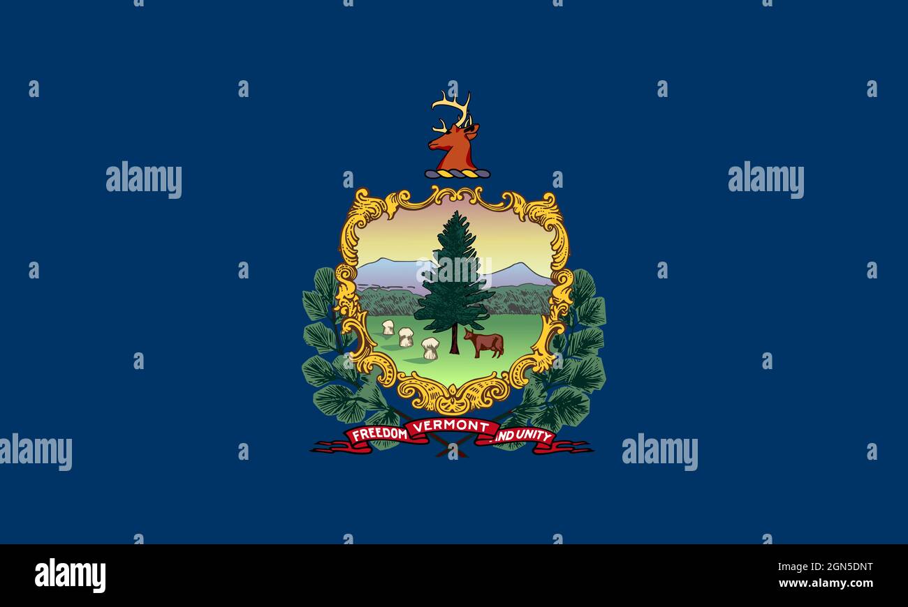Vista dall'alto della bandiera del Vermont, senza flagpole. Progettazione di piani, layout. Contrassegna sfondo. Foto Stock