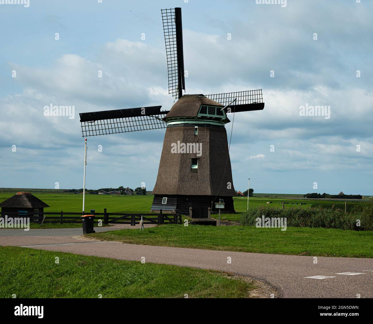 Mulino a vento sul paesaggio agricolo di Petten (Paesi Bassi) Foto Stock