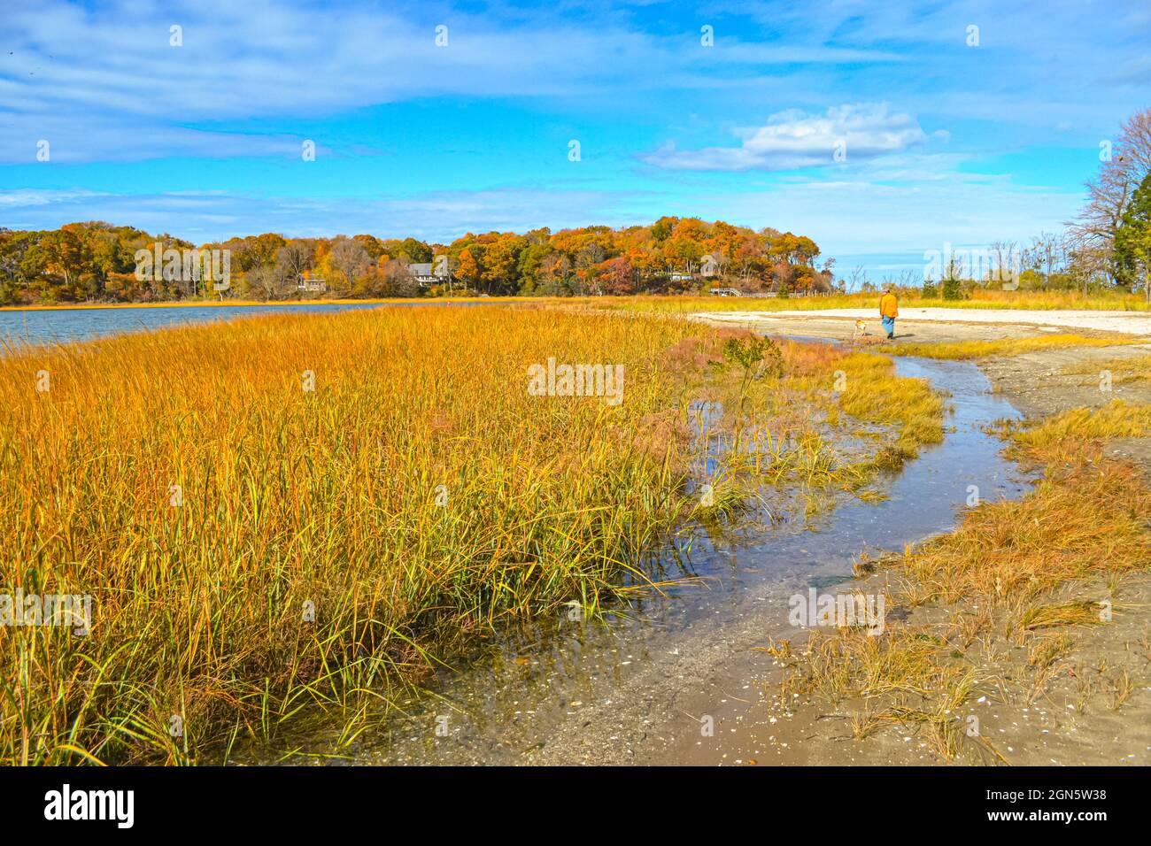 Palude di ottobre con caldi colori autunnali. Paesaggio con uomo e cane a piedi e fatto piccolo a distanza. Long Island, New York. Spazio di copia. Foto Stock