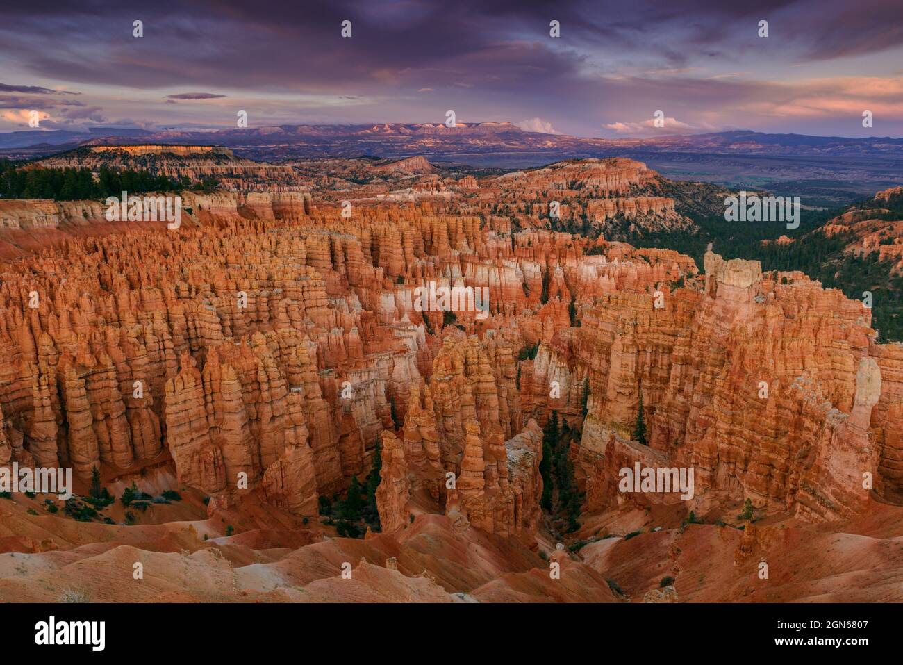 Crepuscolo, Wall Street, il Parco Nazionale di Bryce Canyon, Utah Foto Stock