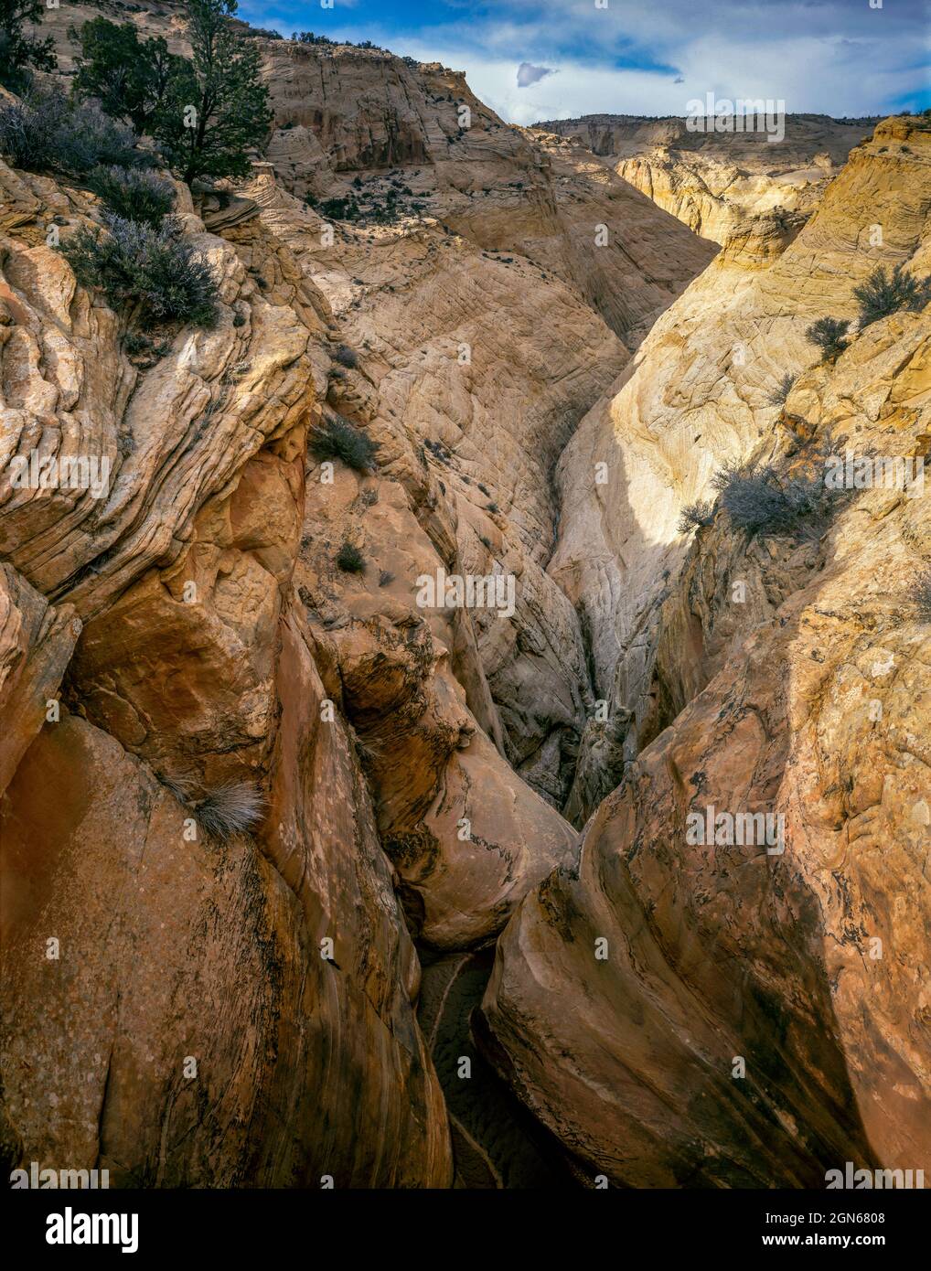 La morte cava, Grand Staircase-Escalante monumento nazionale, Utah Foto Stock