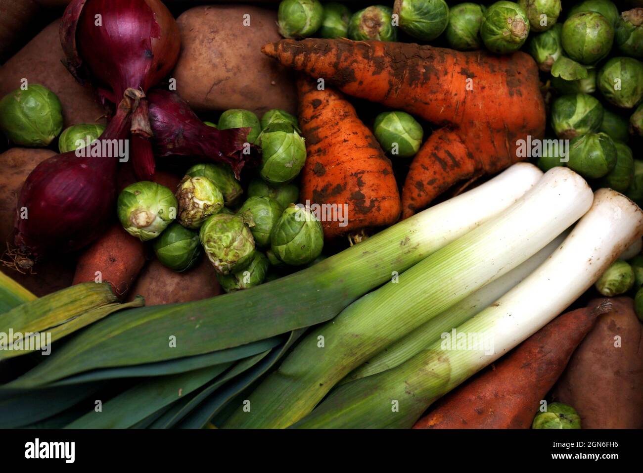 Foto di archivio datata 23/12/12 di verdure fresche, come gli uomini che seguono una dieta vegana possono tagliare il loro rischio di cancro alla prostata, la ricerca suggerisce. Più del 20% dei bambini nel Regno Unito è già vegano o vorrebbe essere e un ulteriore 21% vorrebbe essere vegetariano, un sondaggio suggerisce. Data di emissione: Giovedì 23 settembre 2021. Foto Stock