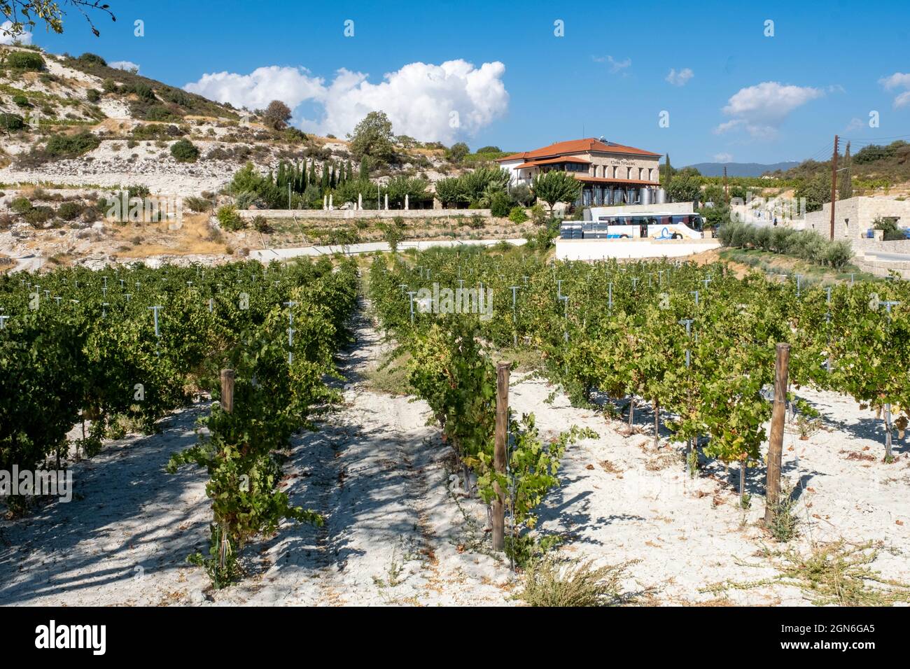 Vista generale della cantina Ktima Gerolemo vicino al villaggio di Omodos, Cipro. Foto Stock