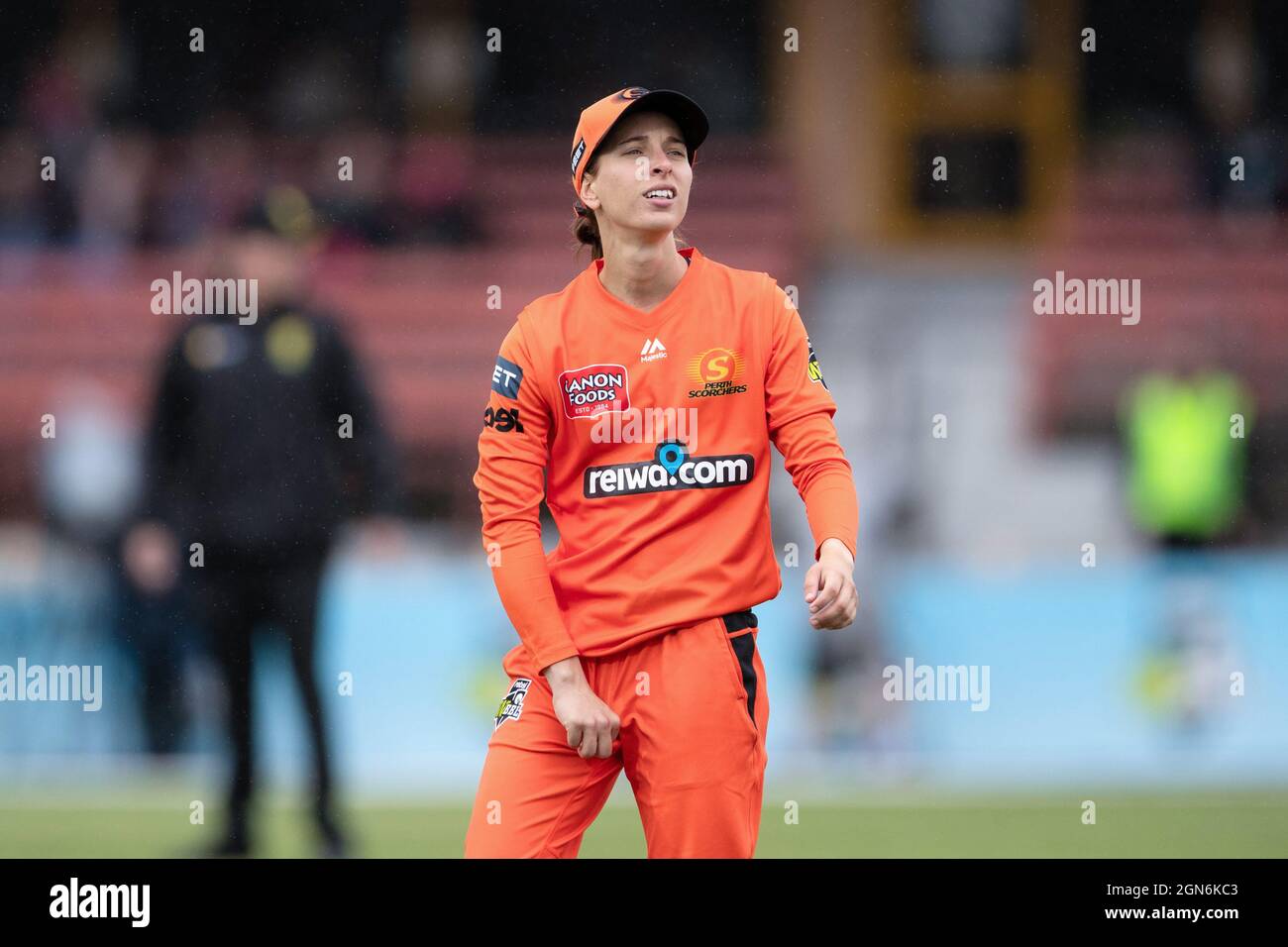 Chloe Piparo di Perth Scorchers durante la settimana 1 Women's Big Bash League Cricket match tra Perth Scorchers e Brisbane Heat. Credit: Pete Dovgan/Speed Media/Alamy Live News Foto Stock