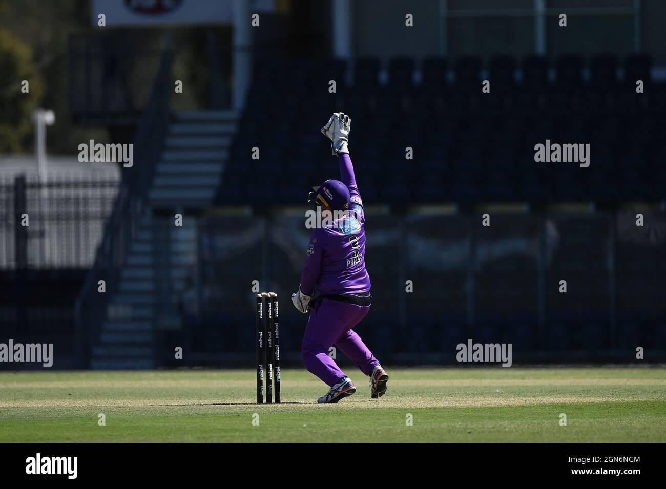 SYDNEY, AUSTRALIA - NOVEMBRE 03: Rachel Priest of the Hobart Hurricanes appeal during the week 2 Women's Big Bash League Cricket Match tra Hobart Hurricanes e Melbourne Renegades il 03 Novembre 2020 a Blacktown ISP, Australia. Credit: Steven Markham/Speed Media/Alamy Live News Foto Stock