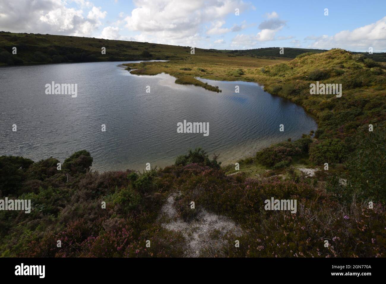 Glynn Valley China Clay Works Temple Bodmin Moor Cornovaglia Foto Stock