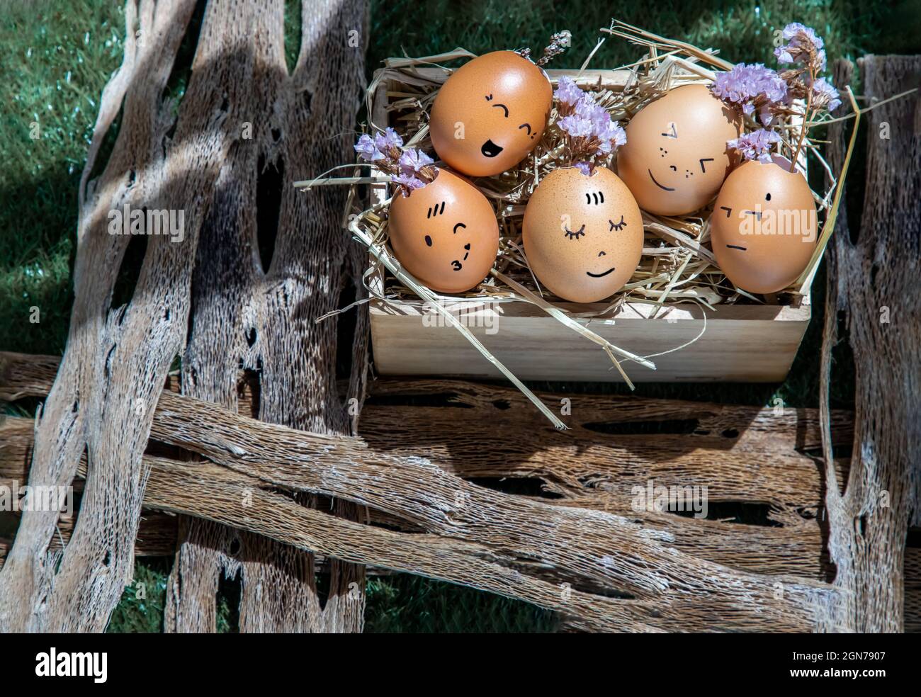 Un'immagine concettuale del Gruppo di uova con varie emozioni. Rappresentare l'armonia razziale, la diversità, l'integrazione e l'emozione, felice e rilassante conce Foto Stock