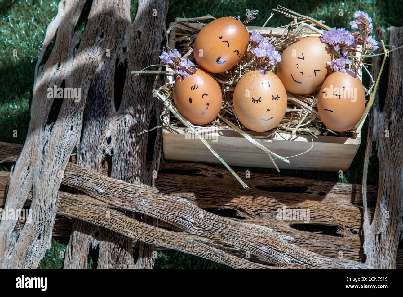 Un'immagine concettuale del Gruppo di uova con varie emozioni. Rappresentare l'armonia razziale, la diversità, l'integrazione e l'emozione, felice e rilassante conce Foto Stock