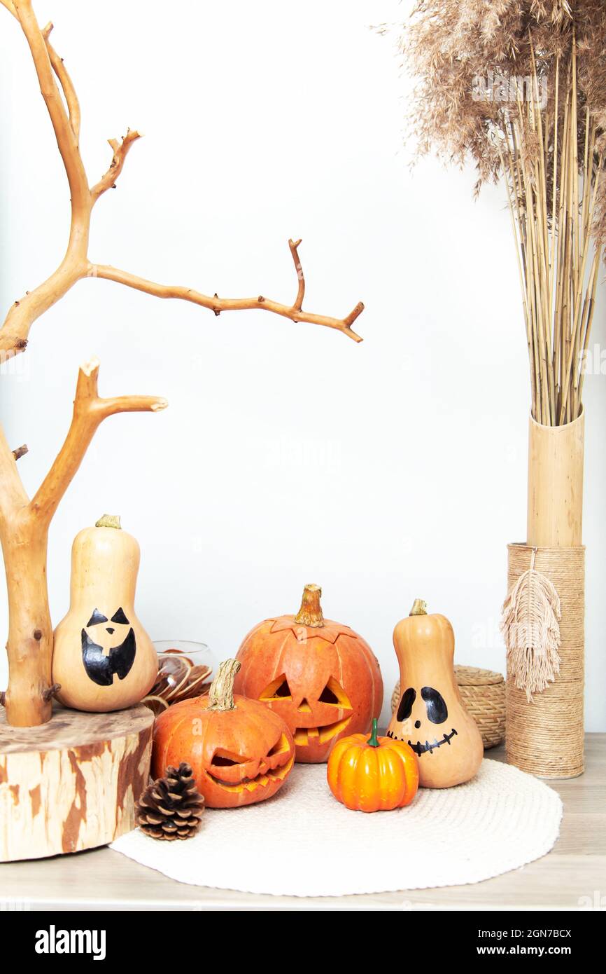 Zucche di Halloween all'interno. Stile Scandinavo. Preparazione per Halloween. Foto Stock