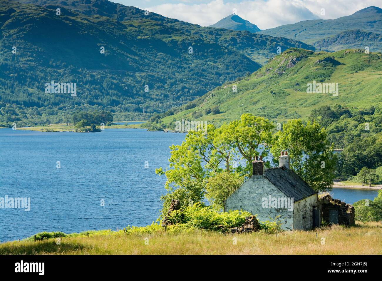 Lungo la West Highland Way in Scozia. Una vista del Loch Lomond che mostra una vecchia piccola casa bianca nascosta dietro alcuni alberi e cespugli Foto Stock