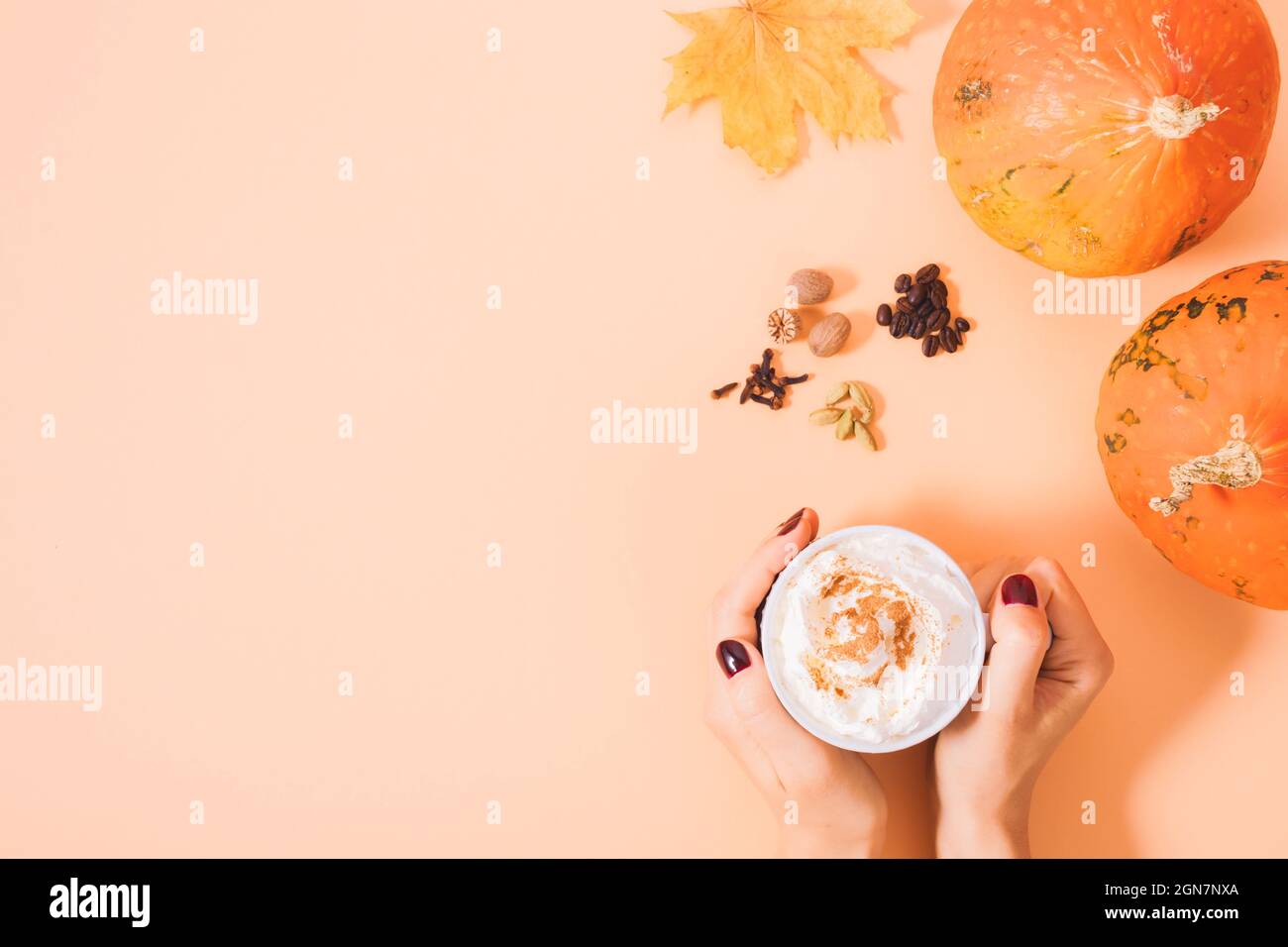 Autunno bere latte di zucca spezia nelle mani femminili accanto agli ingredienti su sfondo arancione con spazio copia Foto Stock