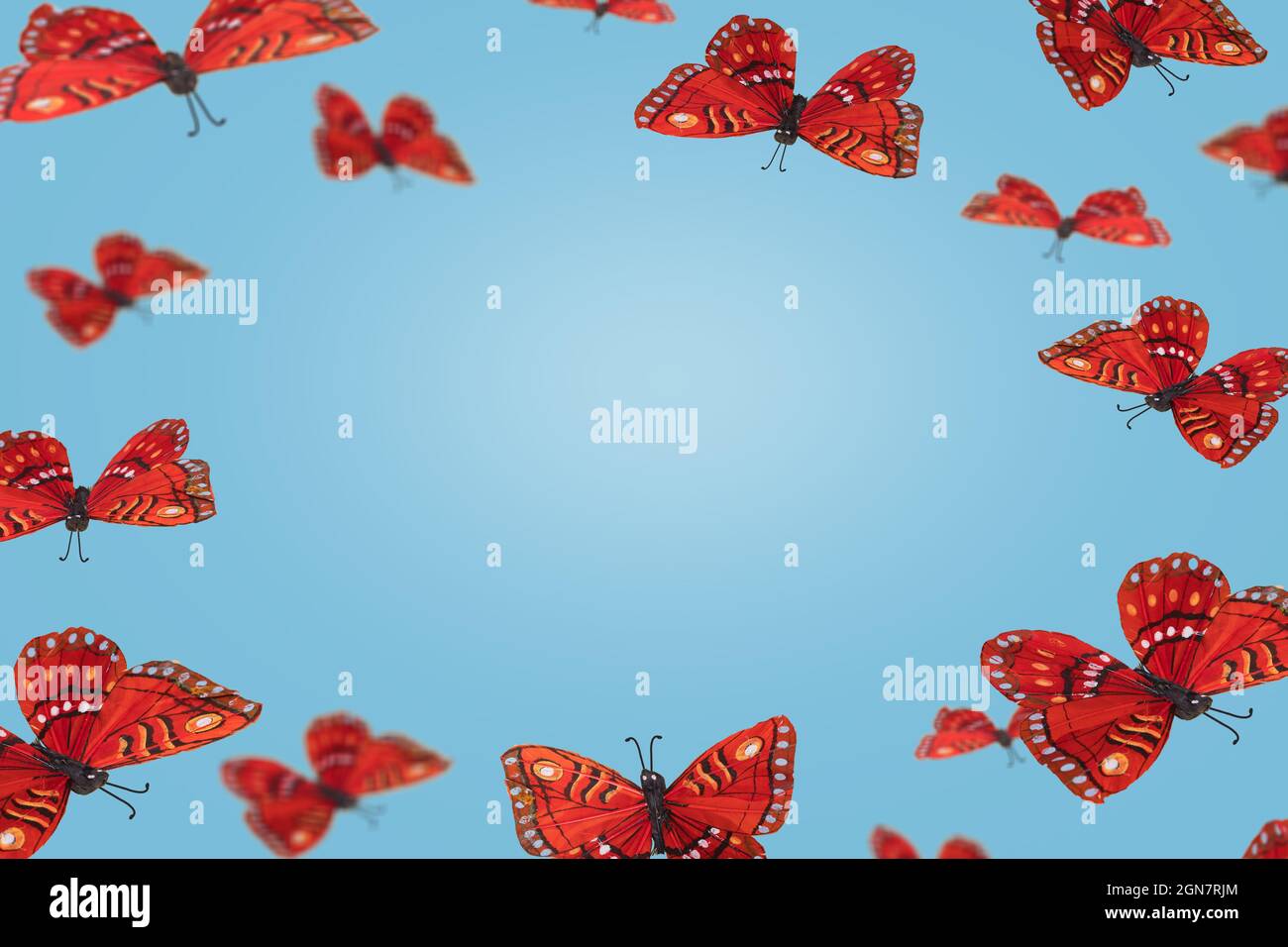 Motivo alla moda con bellissime farfalle su sfondo blu. Concetto di natura creativa minimale. Spazio di copia. Foto Stock