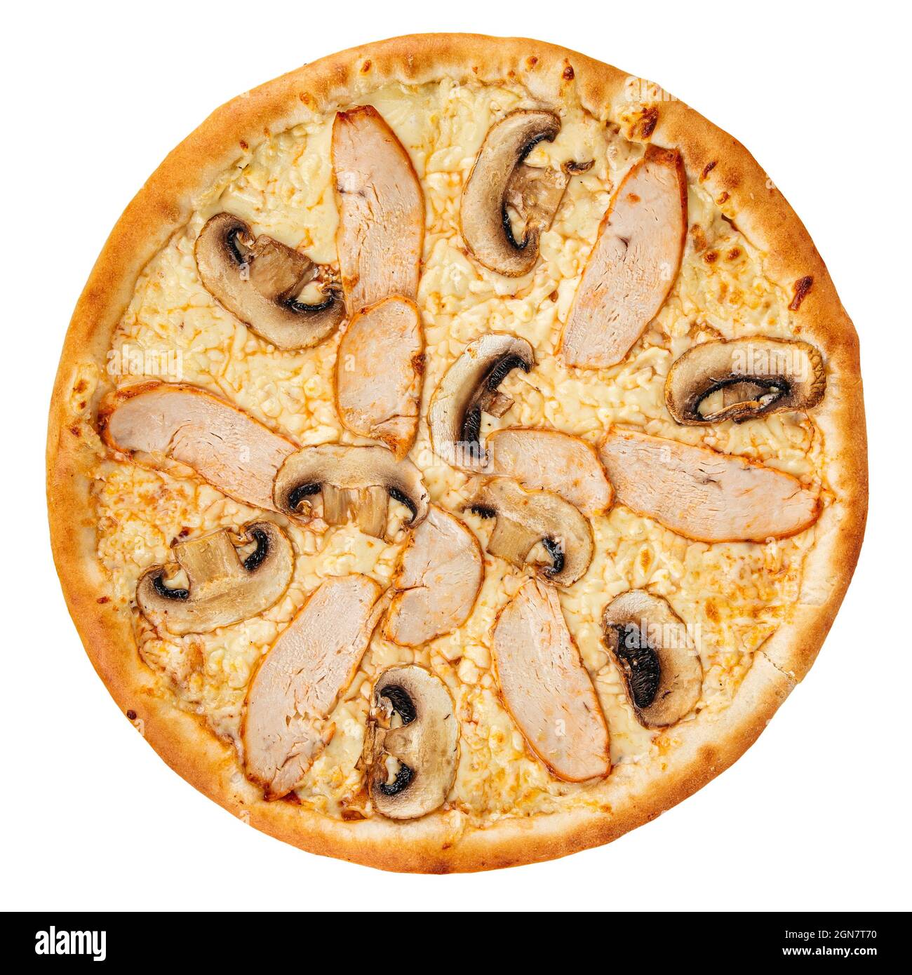 Pizza di pollo isolata con funghi Foto Stock