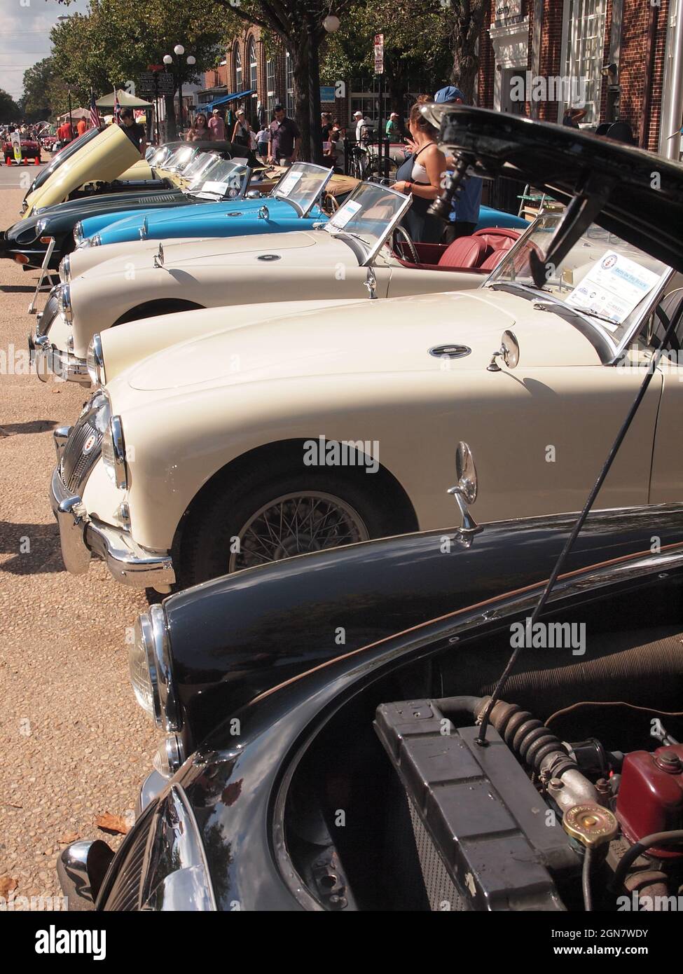 'Bris on the Beach' mostra annuale di auto a Ocean Grove, New Jersey, che attrae numerose auto britanniche restaurate e classiche. Foto Stock